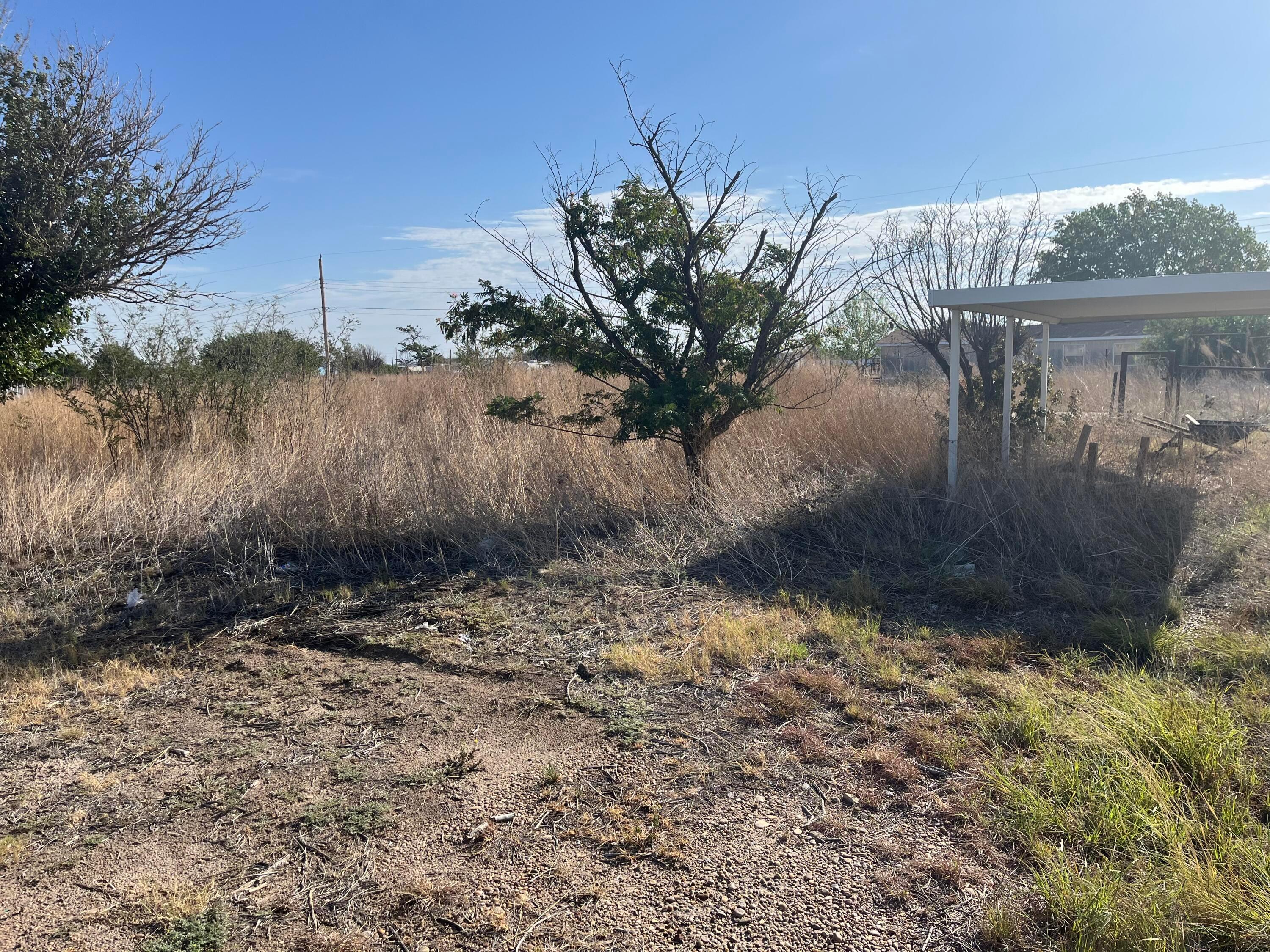 417 Sage Mesa Property Photo 4