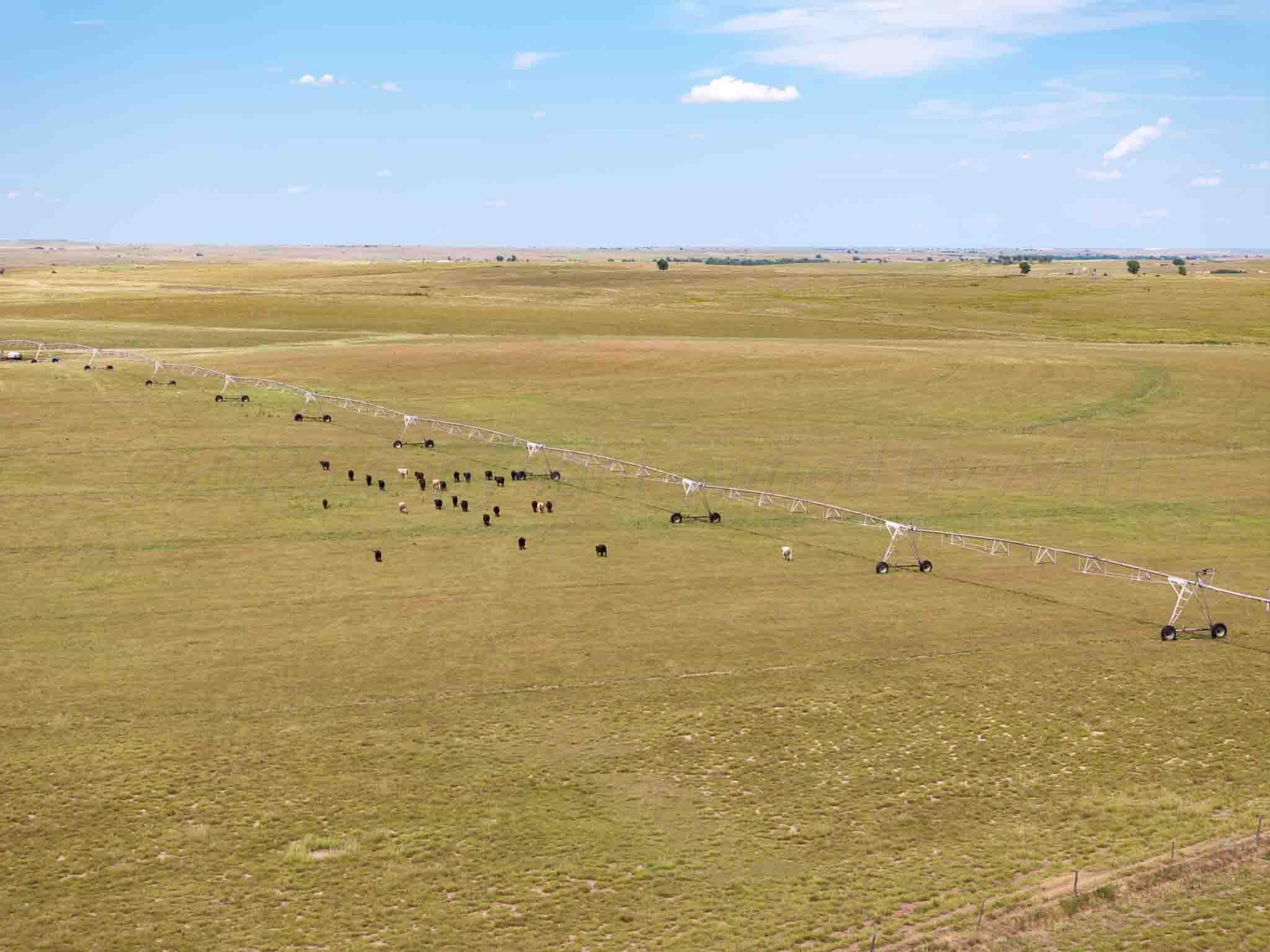 Bourquin Cattle 495 Ac Property Photo 17