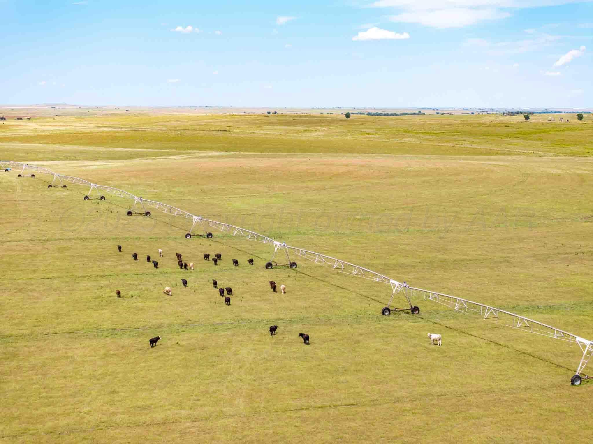 Bourquin Cattle 495 Ac Property Photo 18