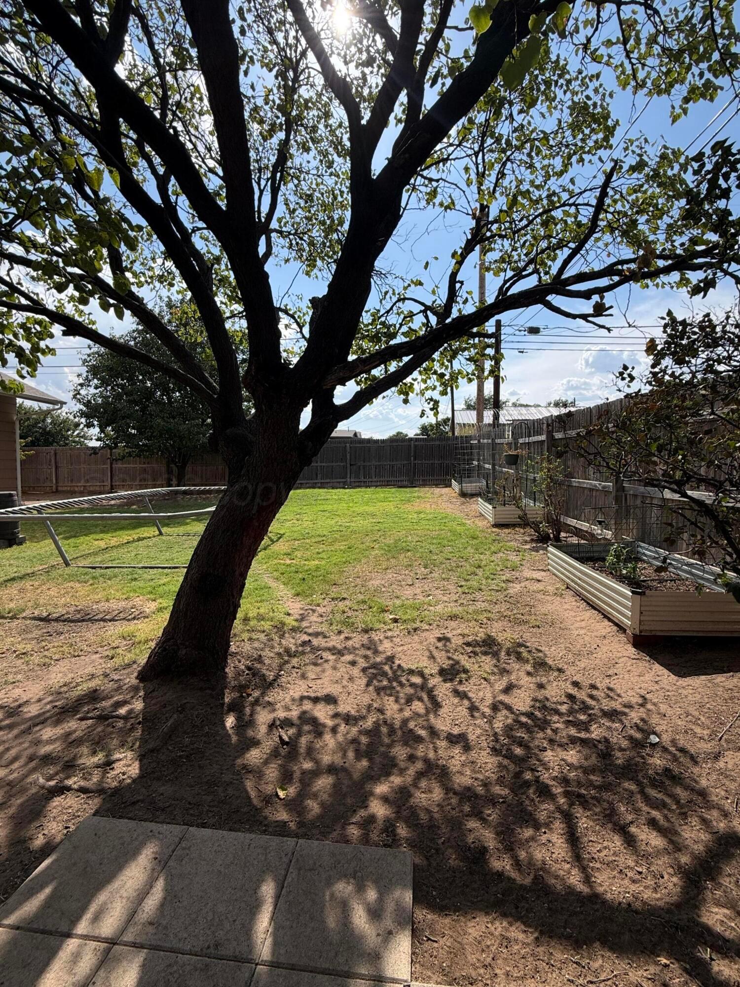200 Cottonwood Street Property Photo 29