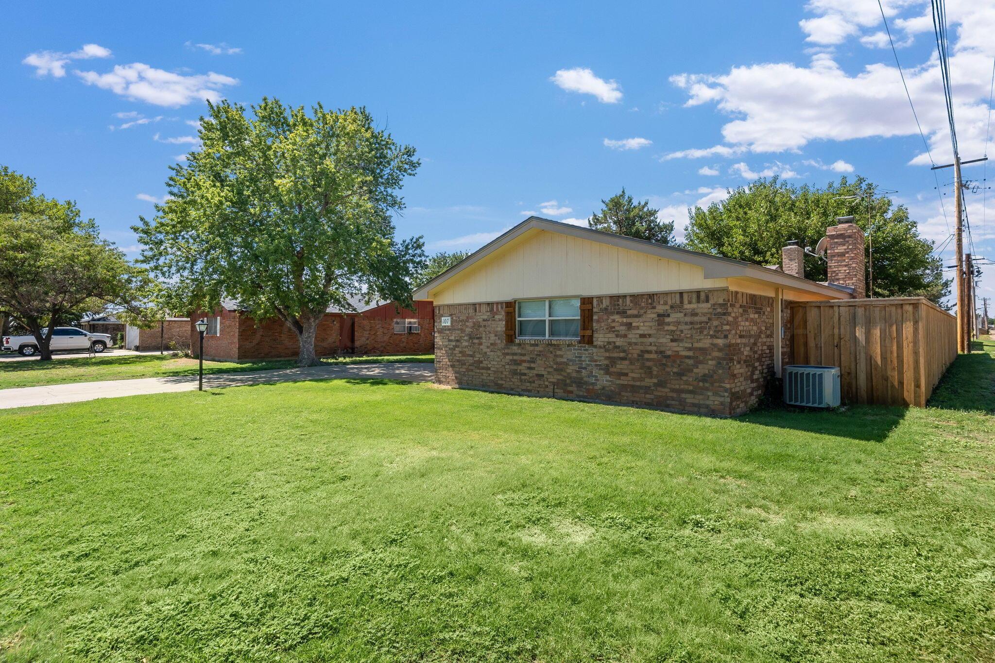 107 Carson Avenue Property Photo 4