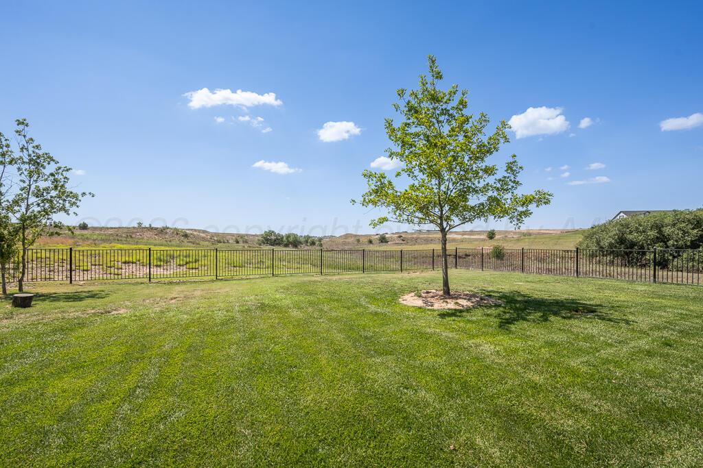 8401 Shady Lake Drive Property Photo 39