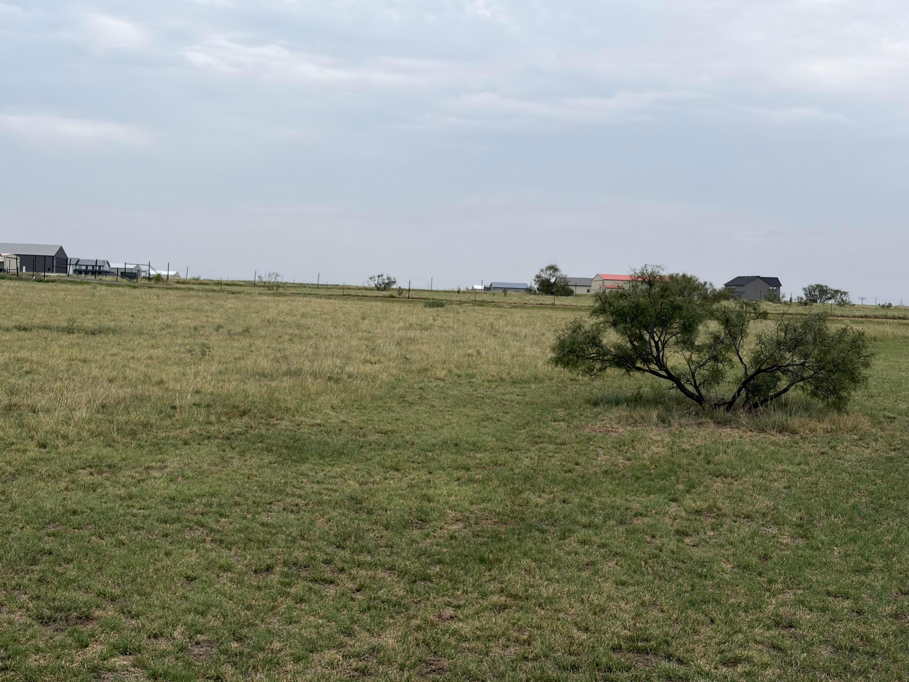 13401 Wild Horse Trail Property Photo 1