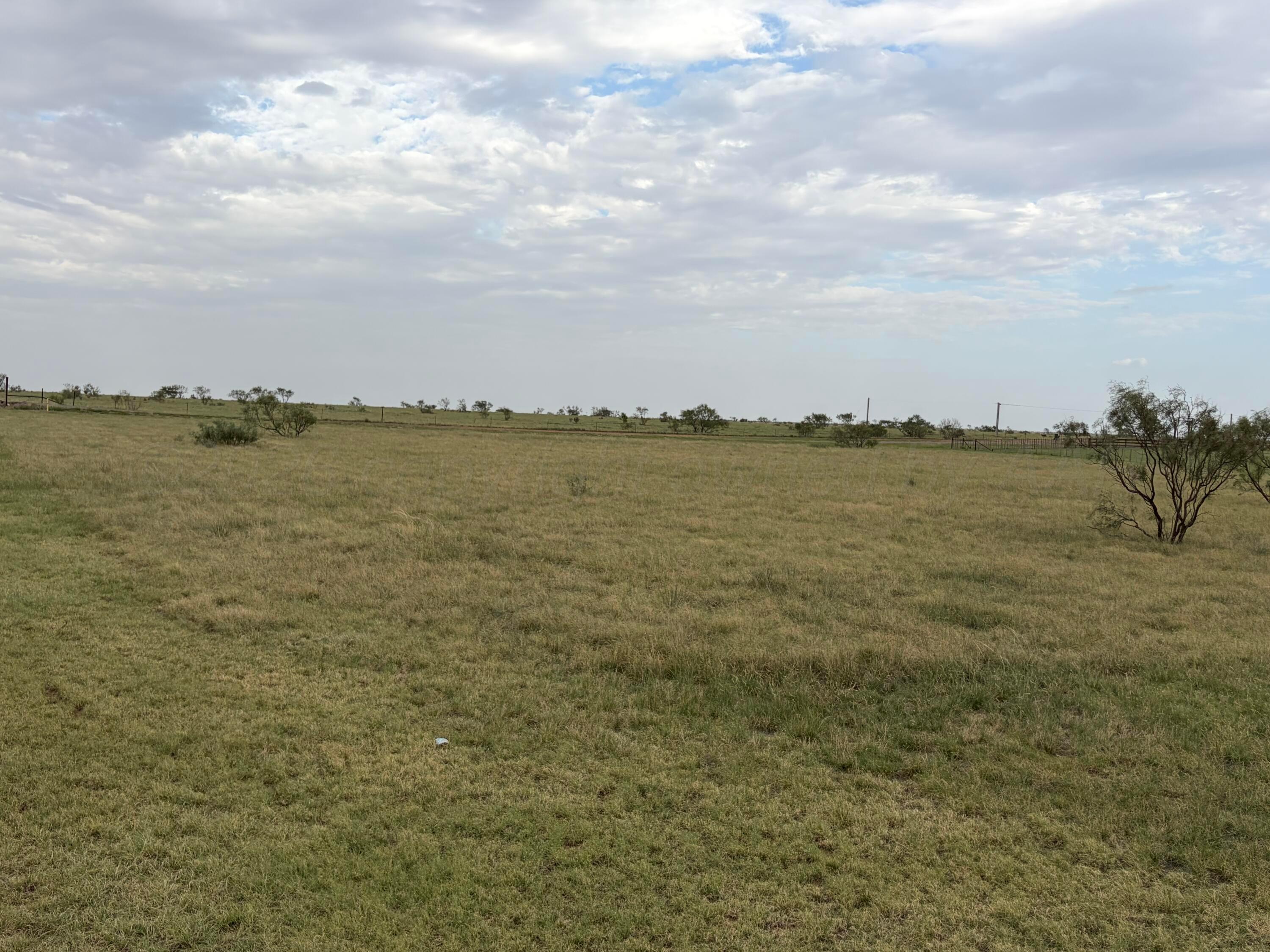 13401 Wild Horse Trail Property Photo 4