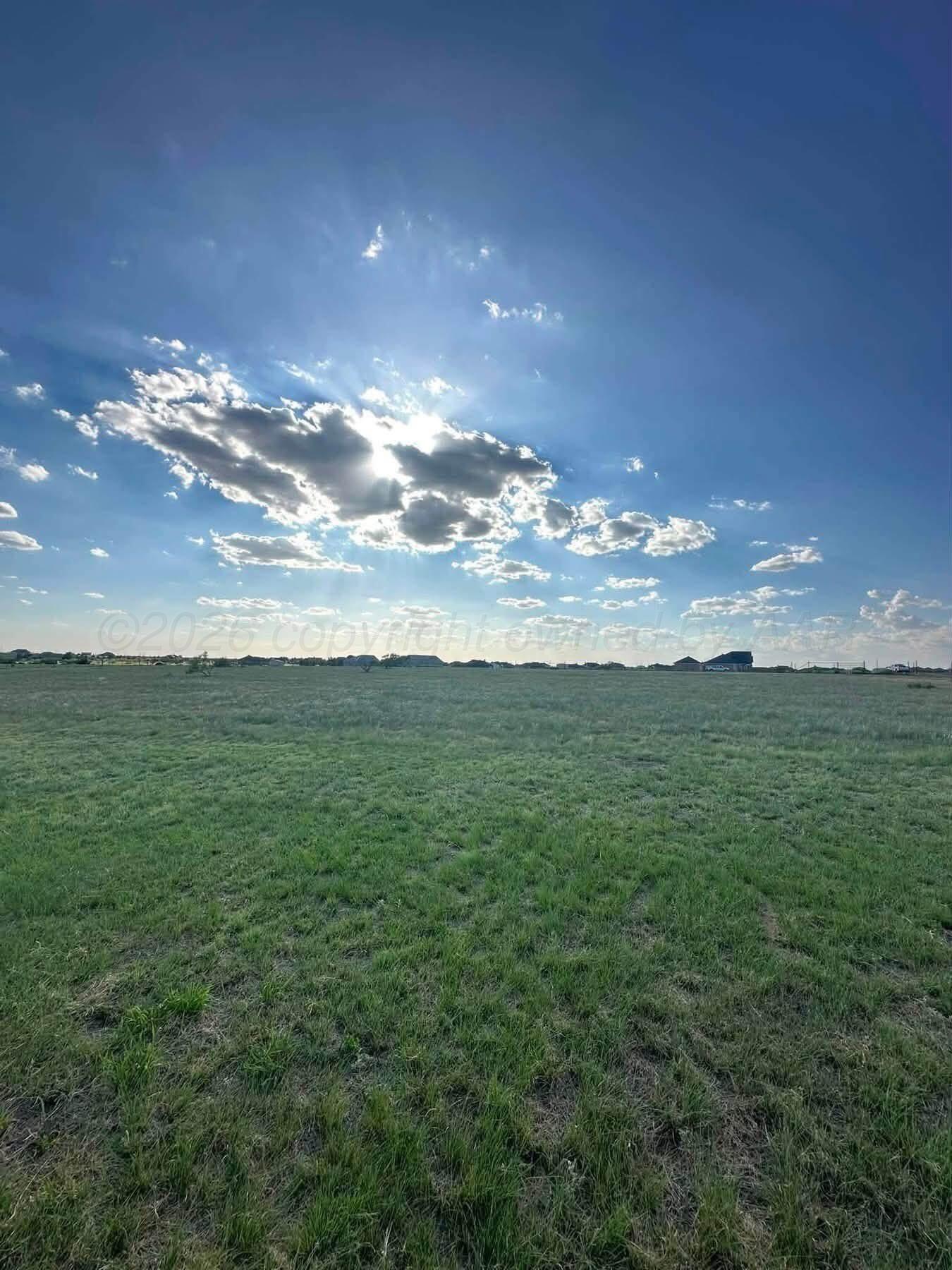 13401 Wild Horse Trail Property Photo 8