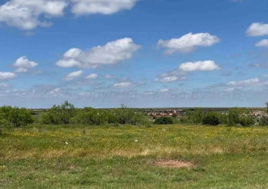 13401 Wild Horse Trail Property Photo 9