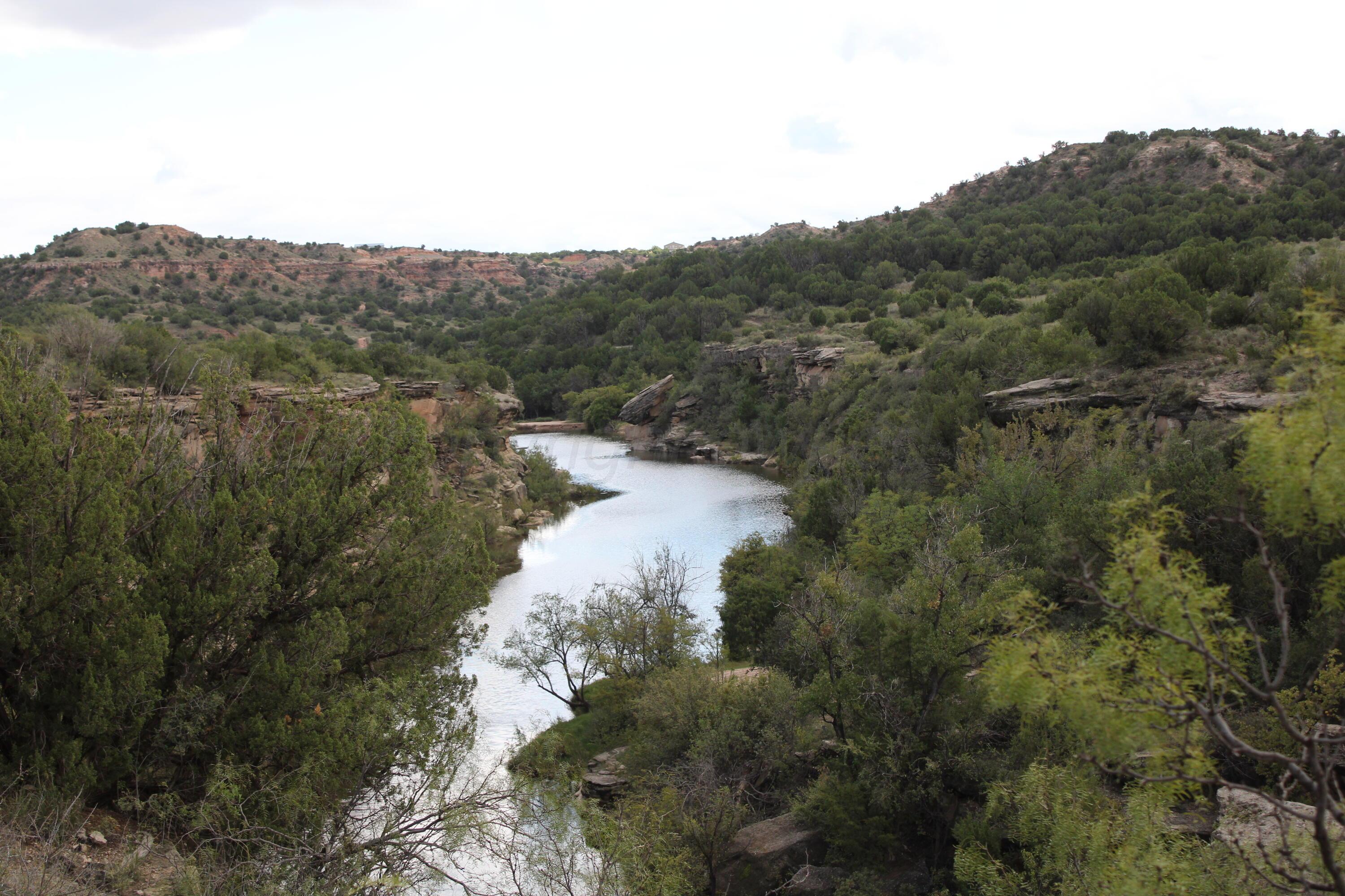 13401 Wild Horse Trail Property Photo 12