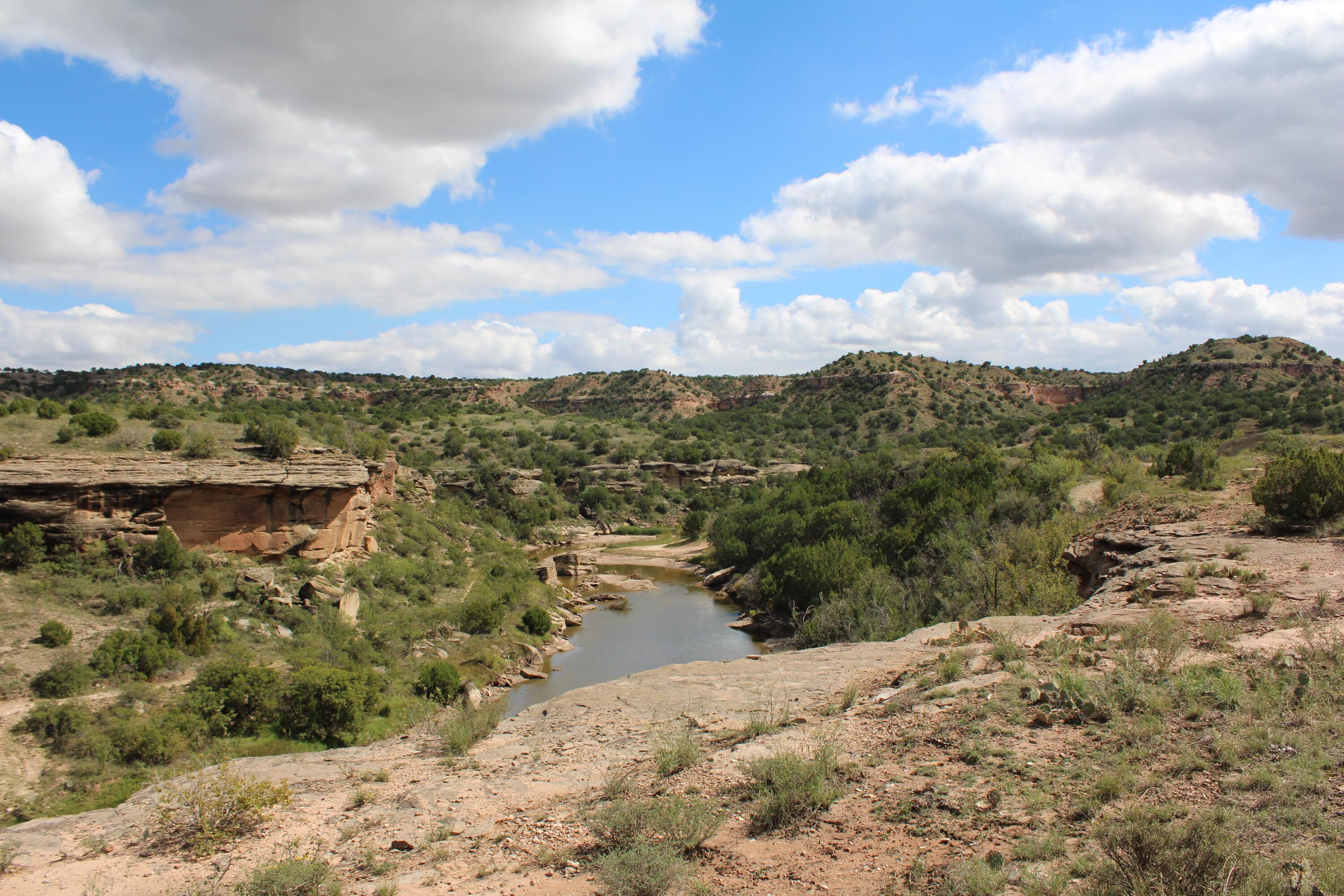 13401 Wild Horse Trail Property Photo 13