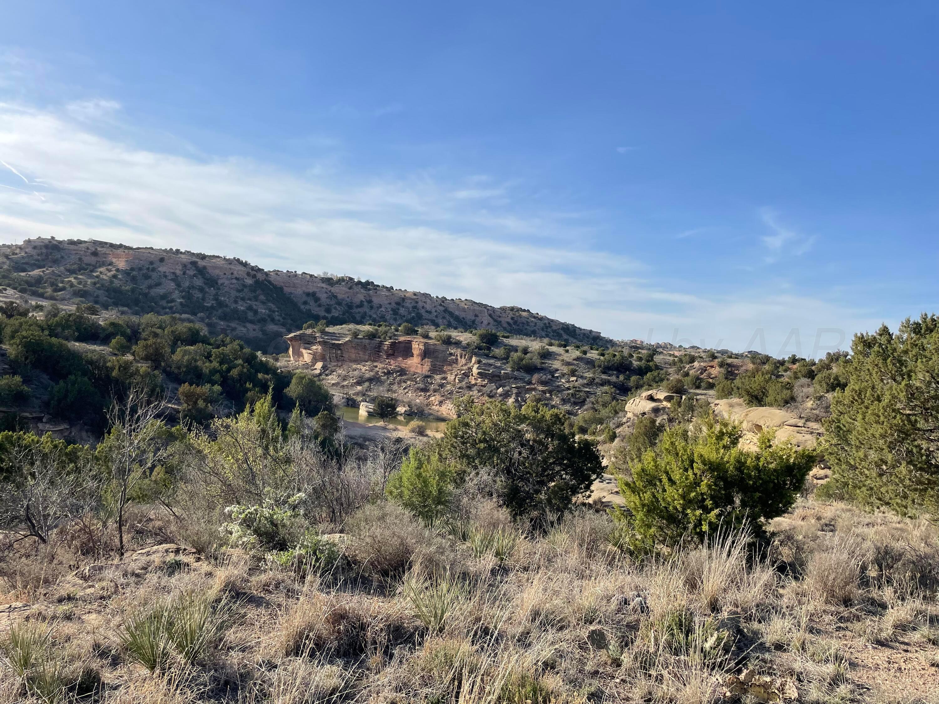 13401 Wild Horse Trail Property Photo 15