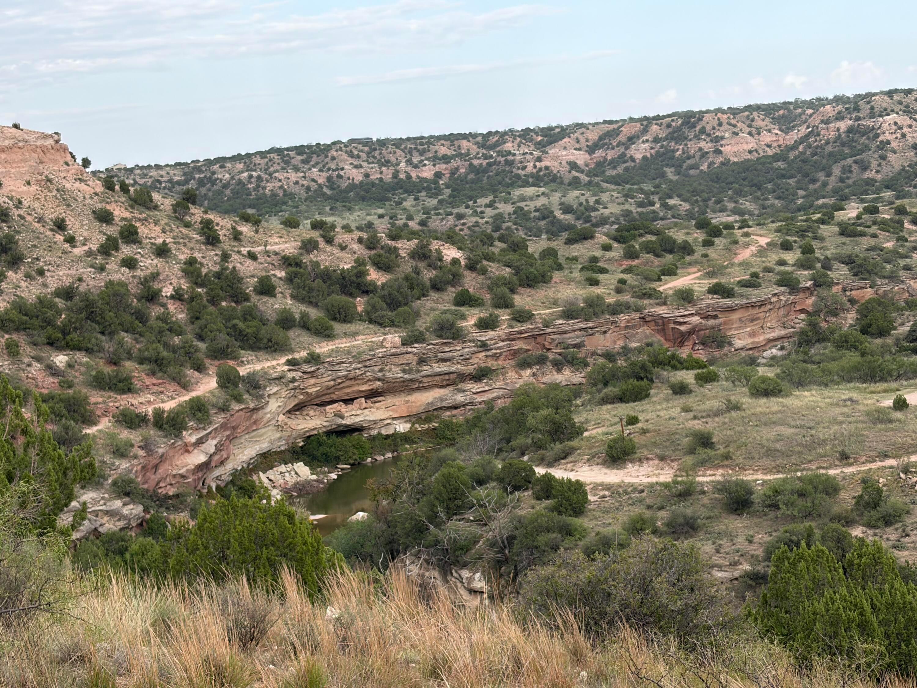 13401 Wild Horse Trail Property Photo 16