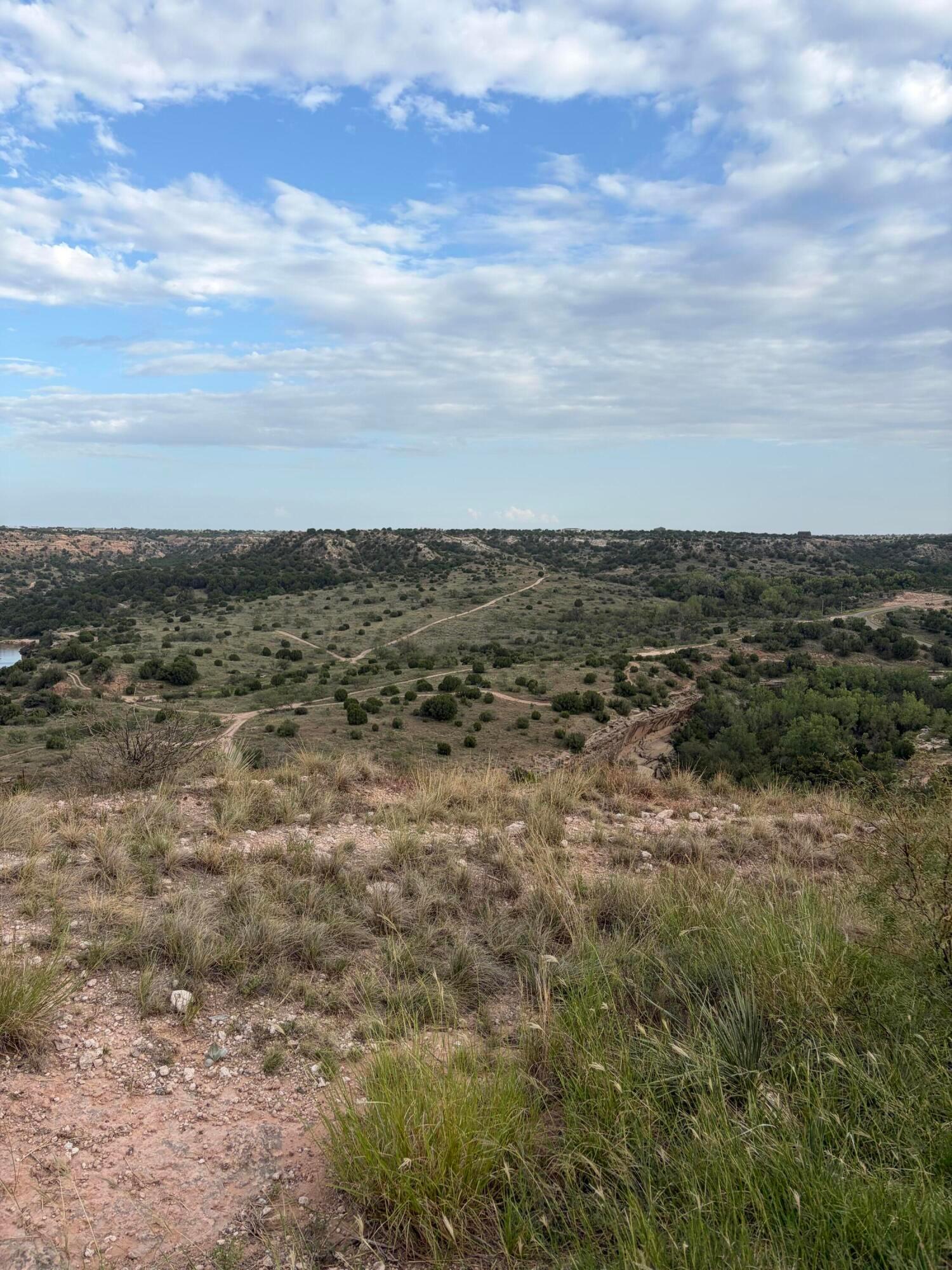 13401 Wild Horse Trail Property Photo 18