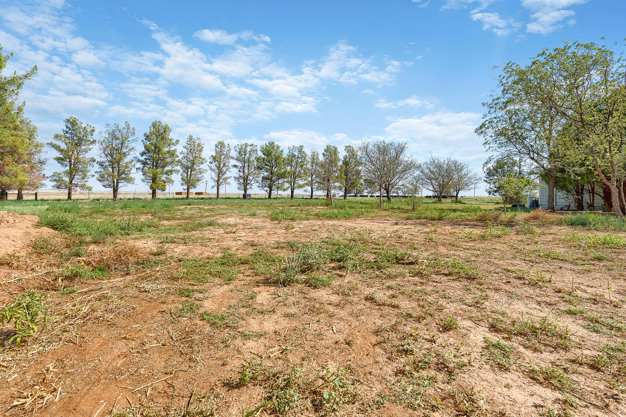 5051 County Road 2 Property Photo 21