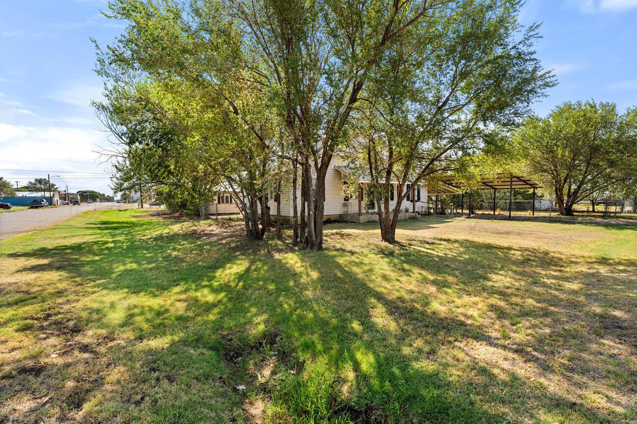 98 Newcome Property Photo 5