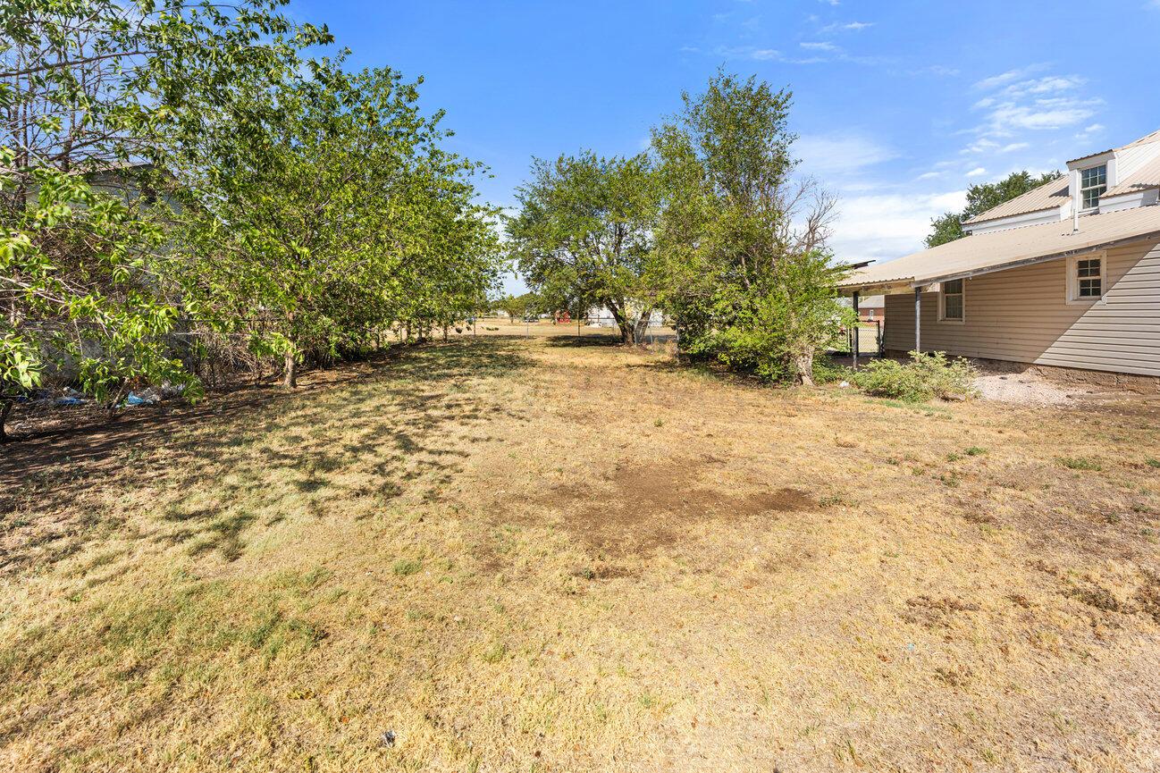 98 Newcome Property Photo 38