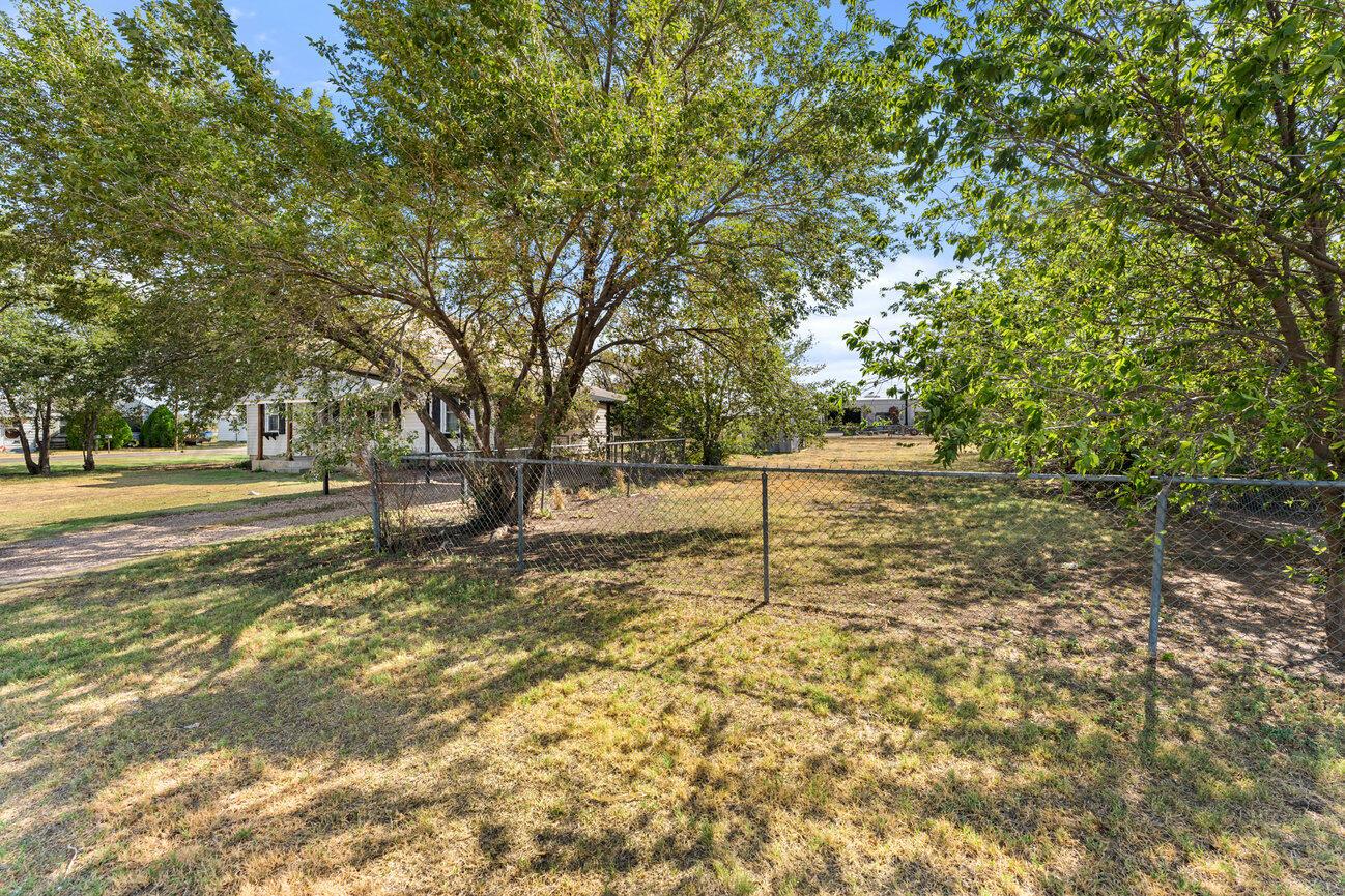 98 Newcome Property Photo 41