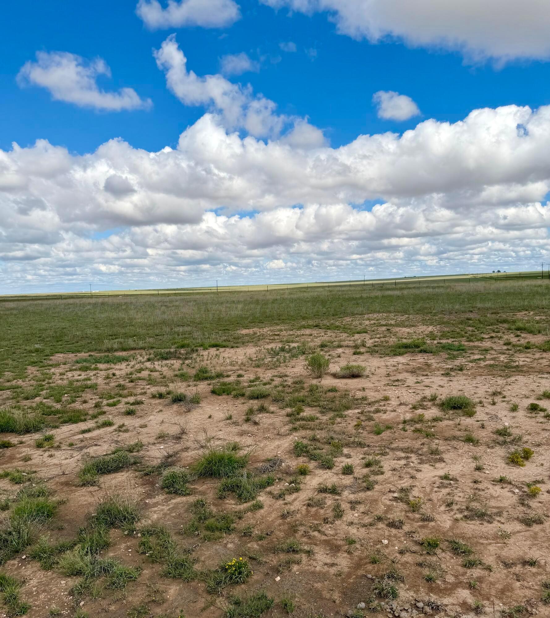 E Fm 1075 - 40+/- Tract Property Photo 3