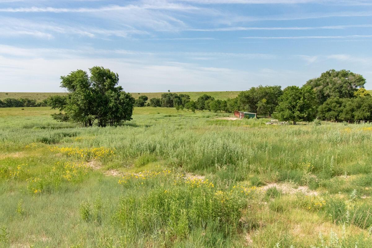 21401 Hope Rd. ±340ac Property Photo 108