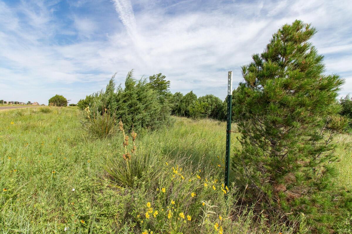 21401 Hope Rd. ±340ac Property Photo 146