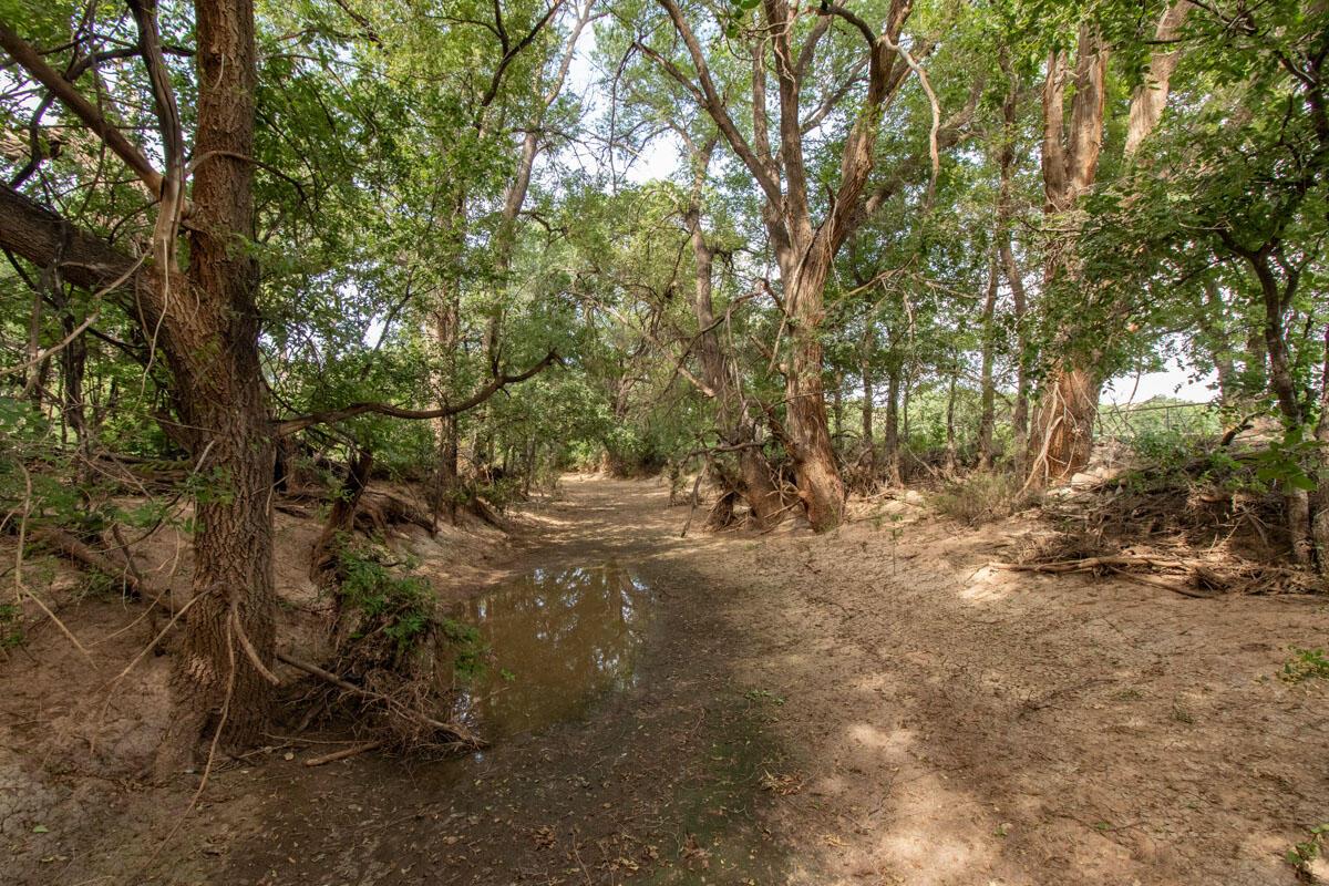 21401 Hope Rd. ±340ac Property Photo 157