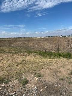 12131 Twin View Drive Property Photo 4