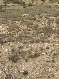 12131 Twin View Drive Property Photo 10