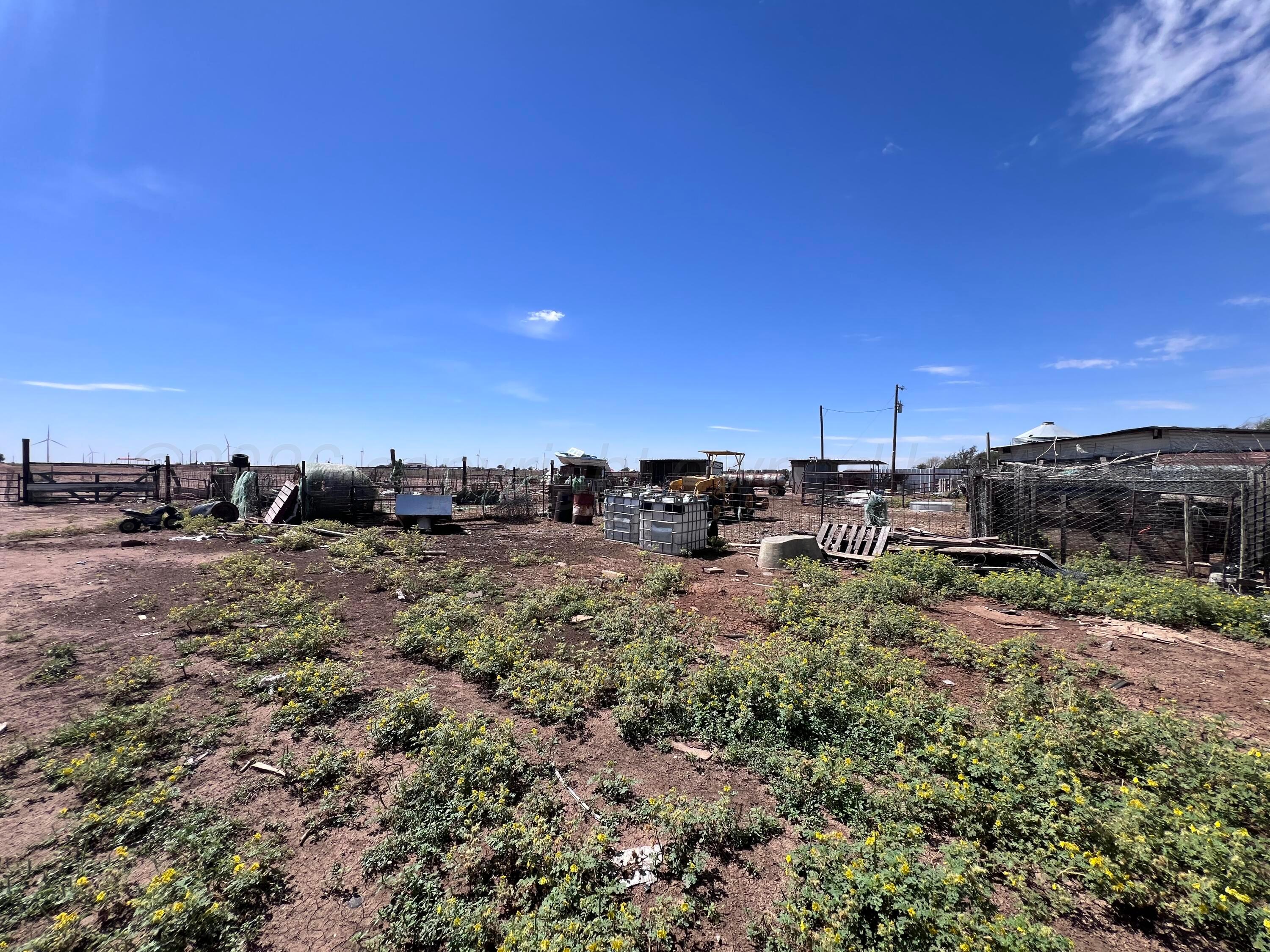 4228 Fm 1259 Property Photo 13