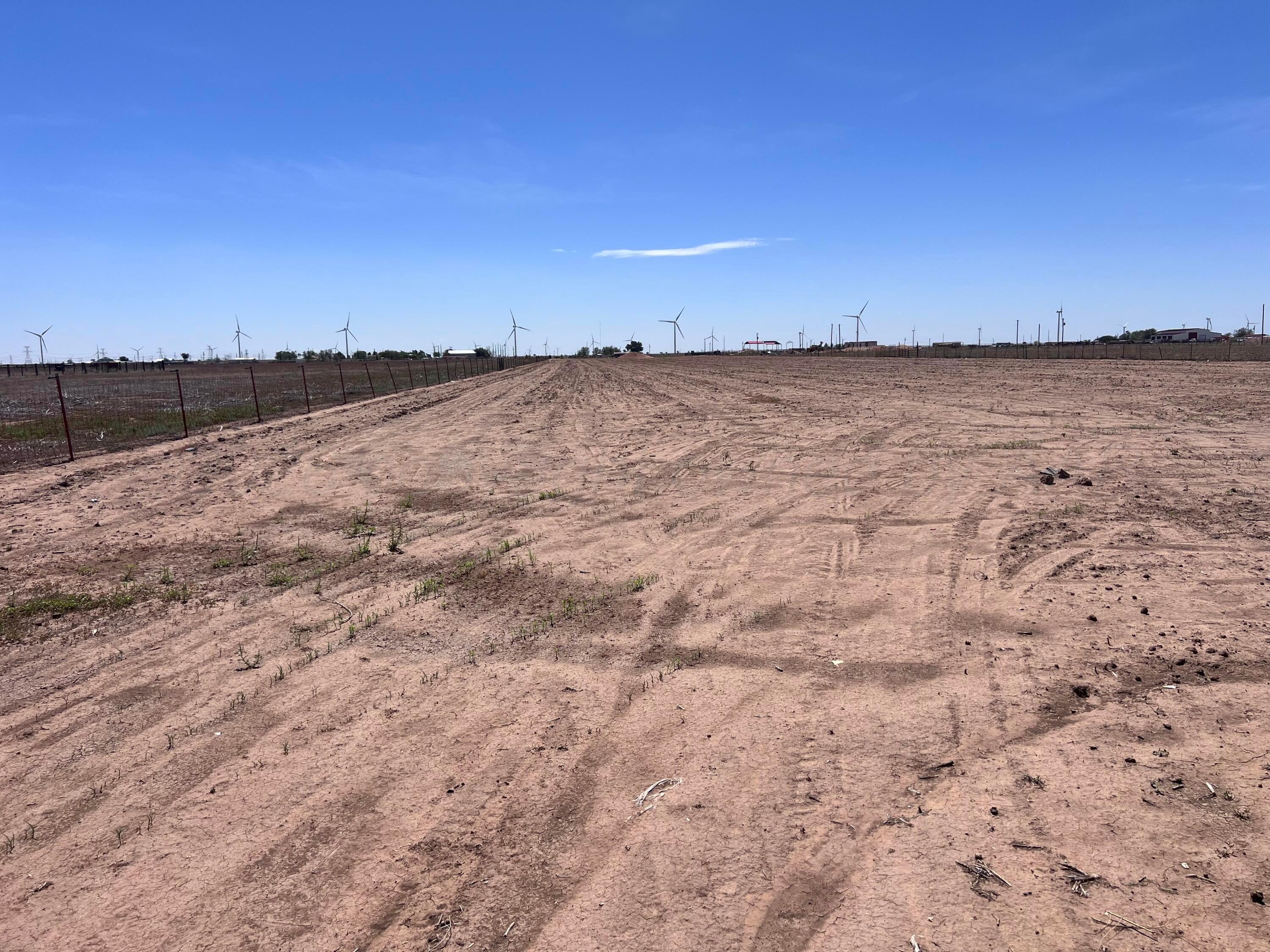 4228 Fm 1259 Property Photo 15