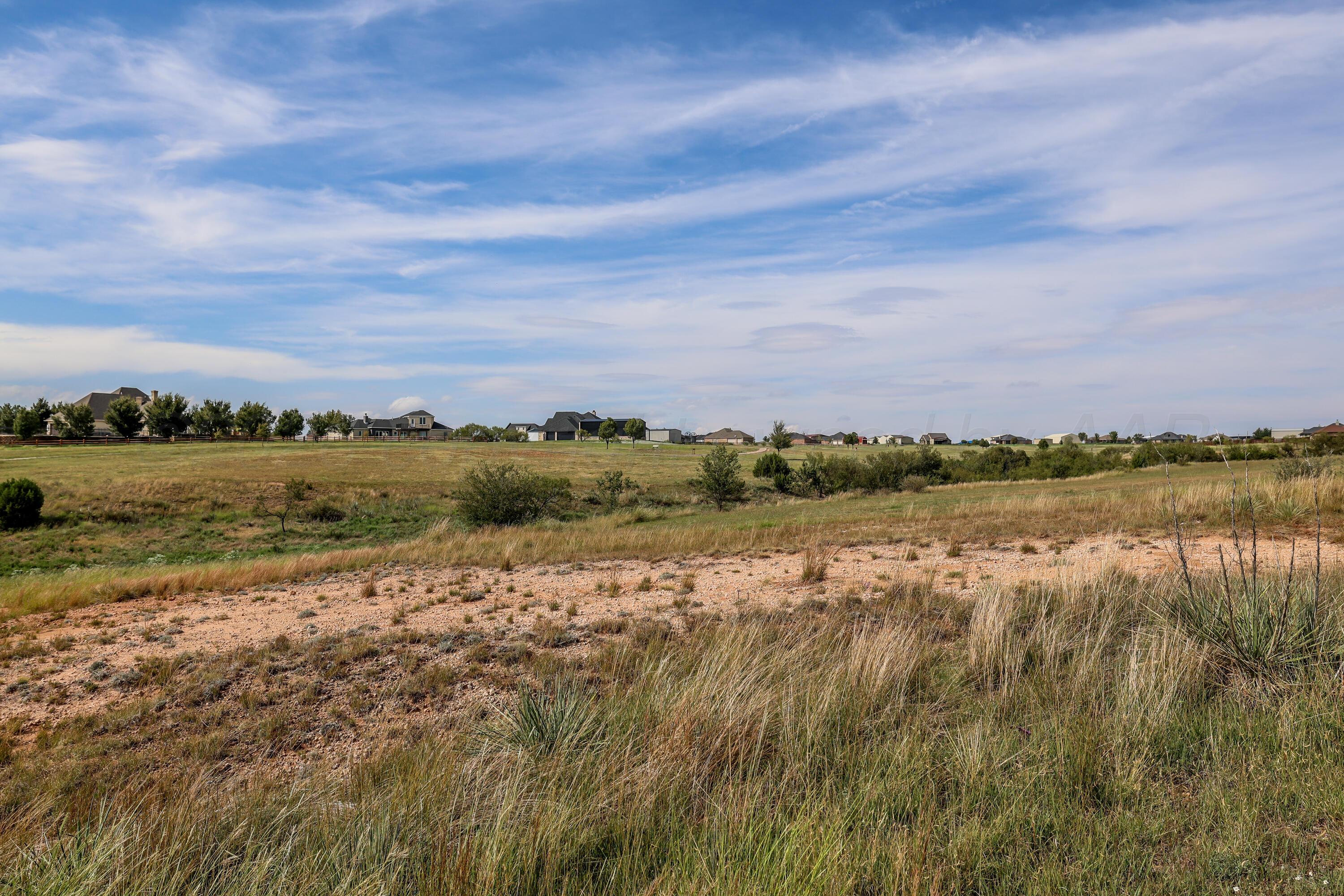 12530 Montana Way Property Photo 10