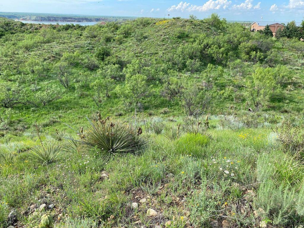 9831 Amarillo Road Property Photo 1