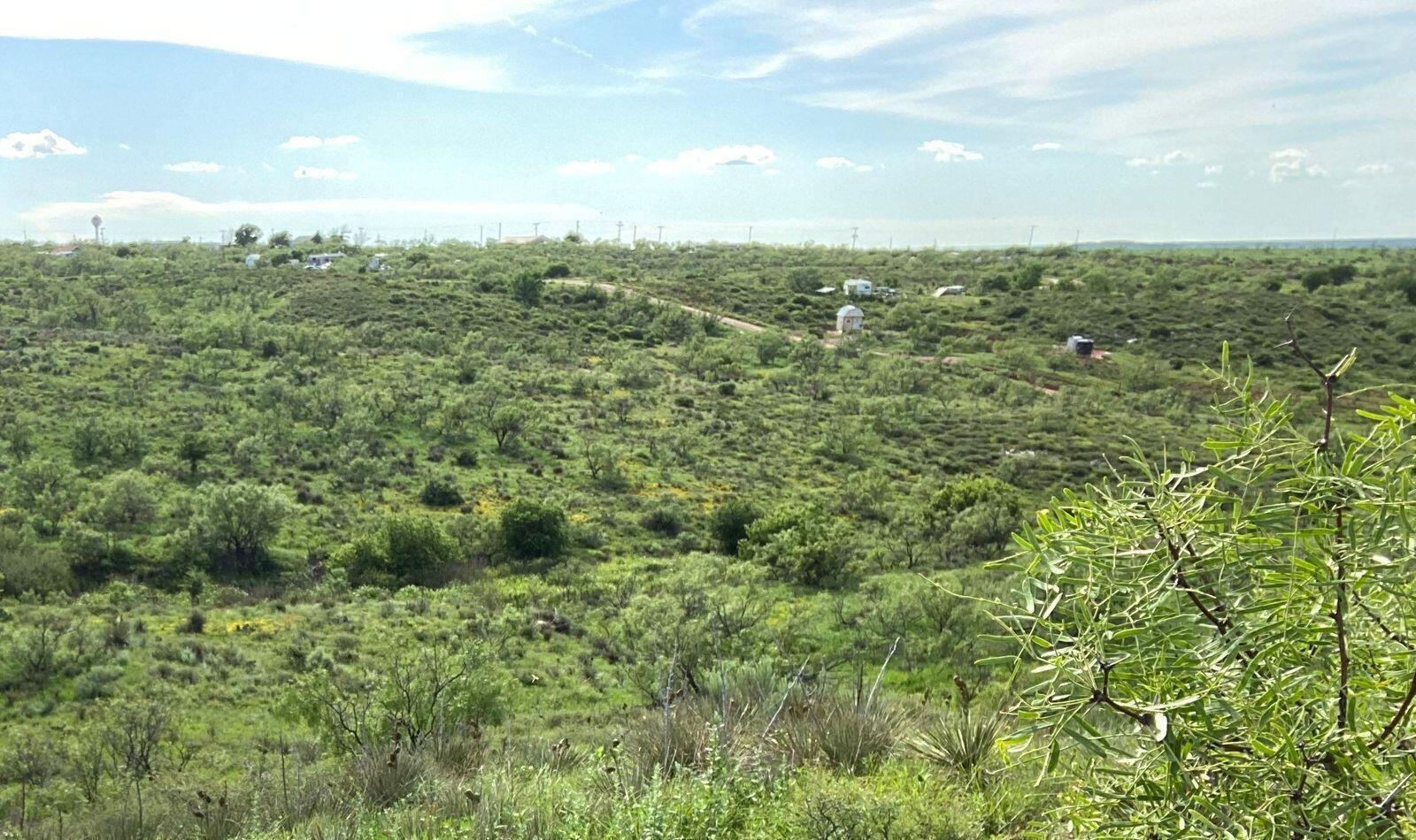 9831 Amarillo Road Property Photo 10