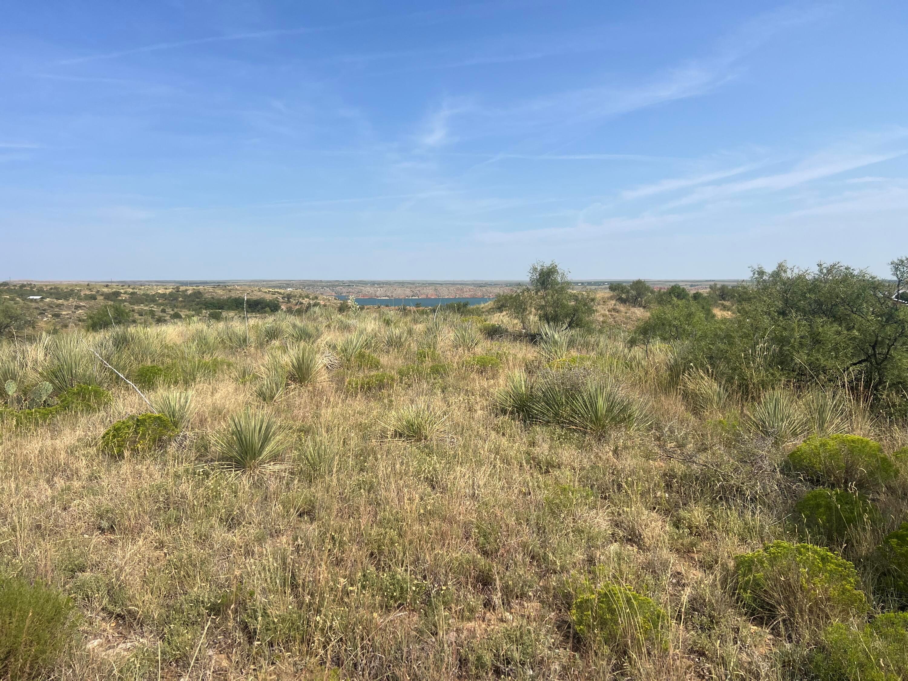 9831 Amarillo Road Property Photo 18