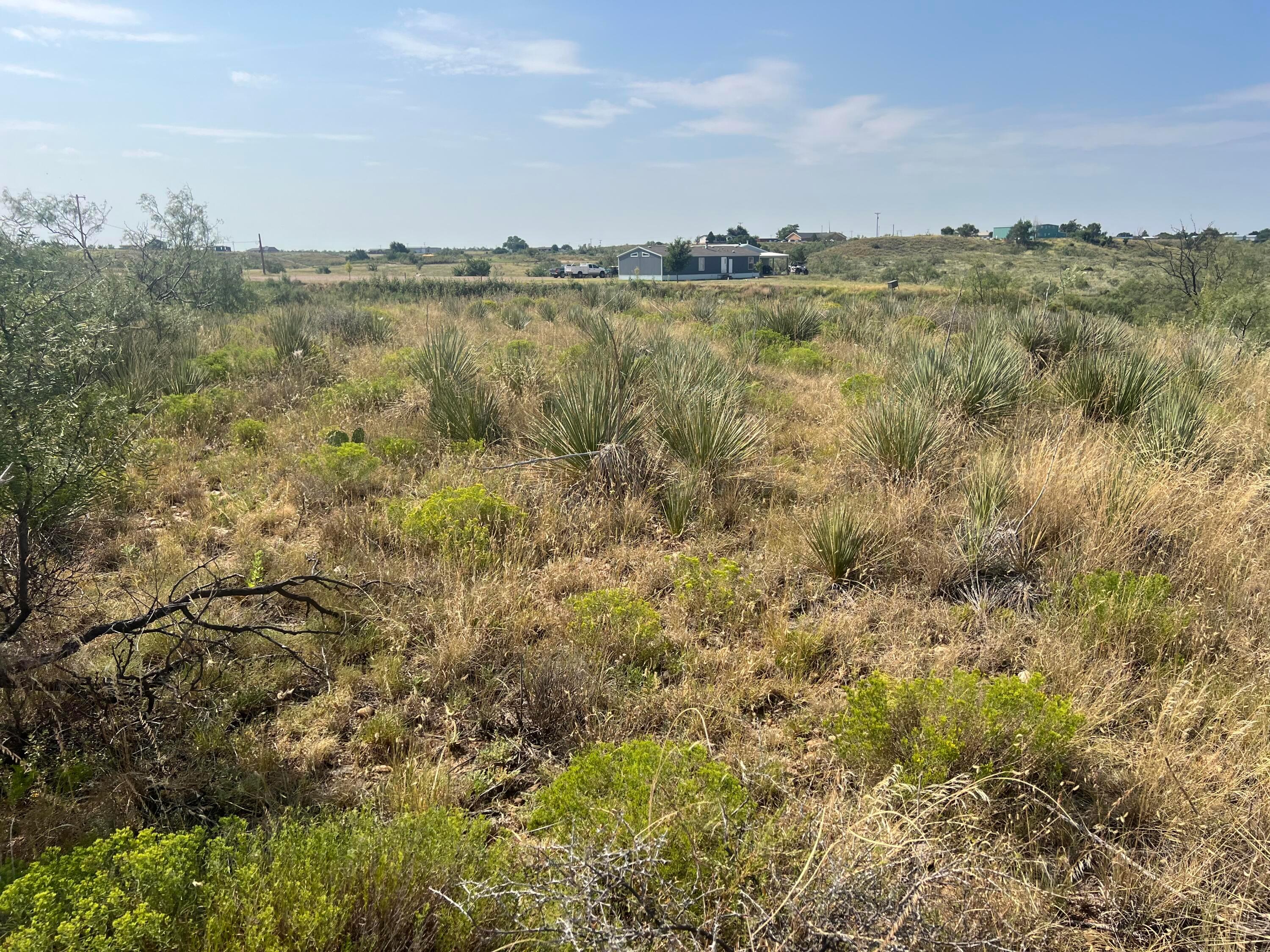 9831 Amarillo Road Property Photo 27