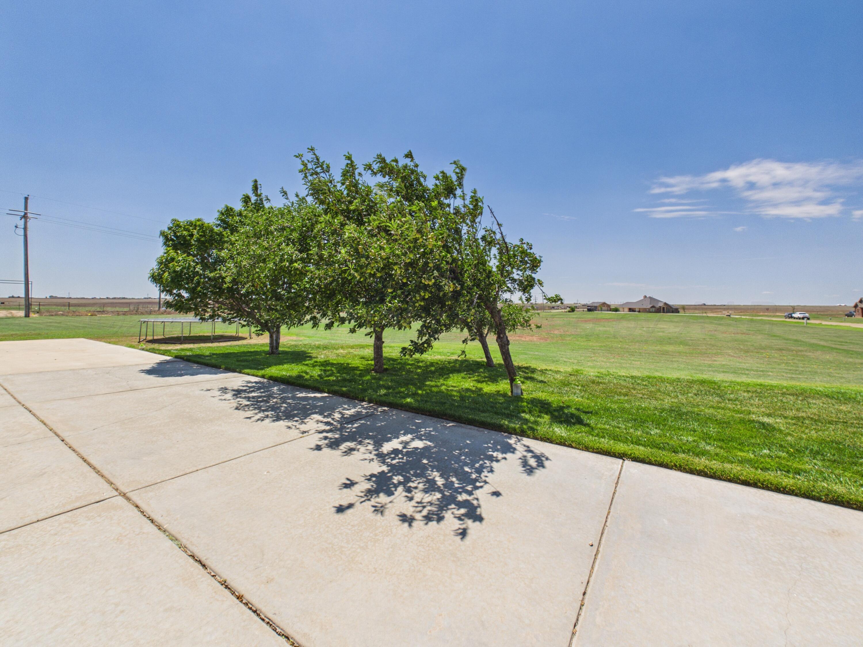 9151 Bridle Trails Drive Property Photo 50