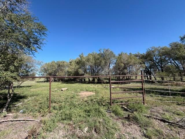1317 E Frederic Avenue Property Photo 24