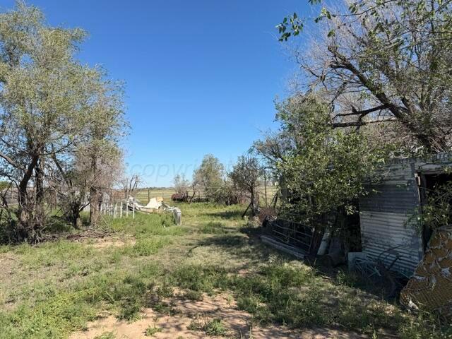 1317 E Frederic Avenue Property Photo 26