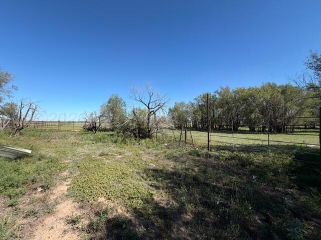 1317 E Frederic Avenue Property Photo 27