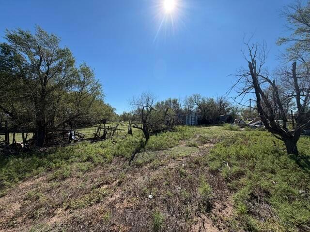 1317 E Frederic Avenue Property Photo 29