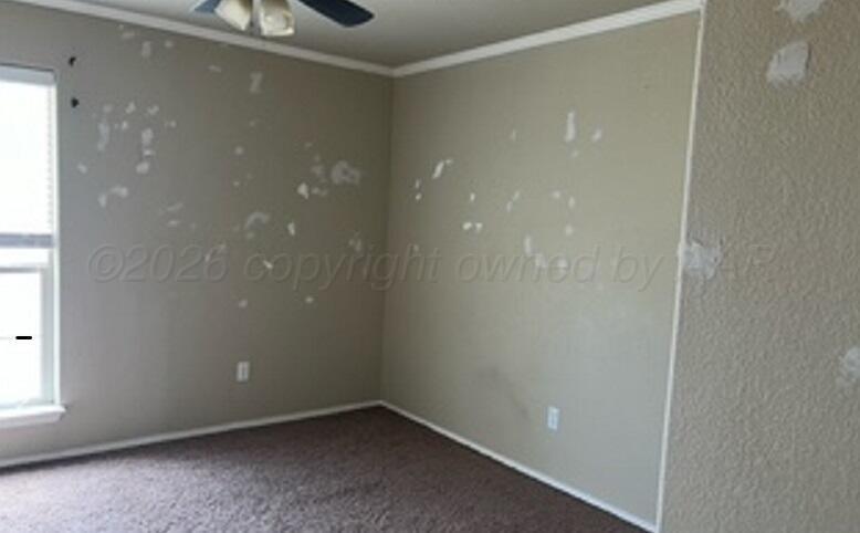 4510 Pine Street Property Photo 5