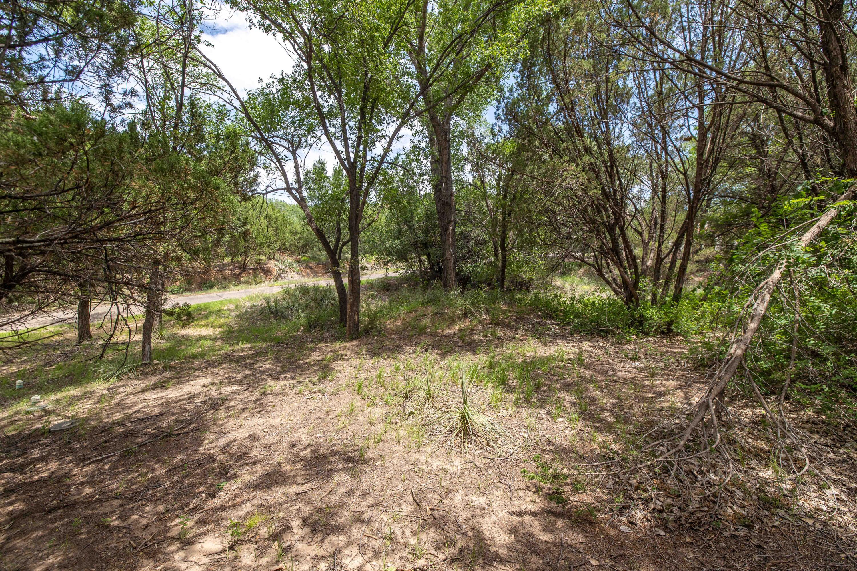 415 N Shore Drive Property Photo 32
