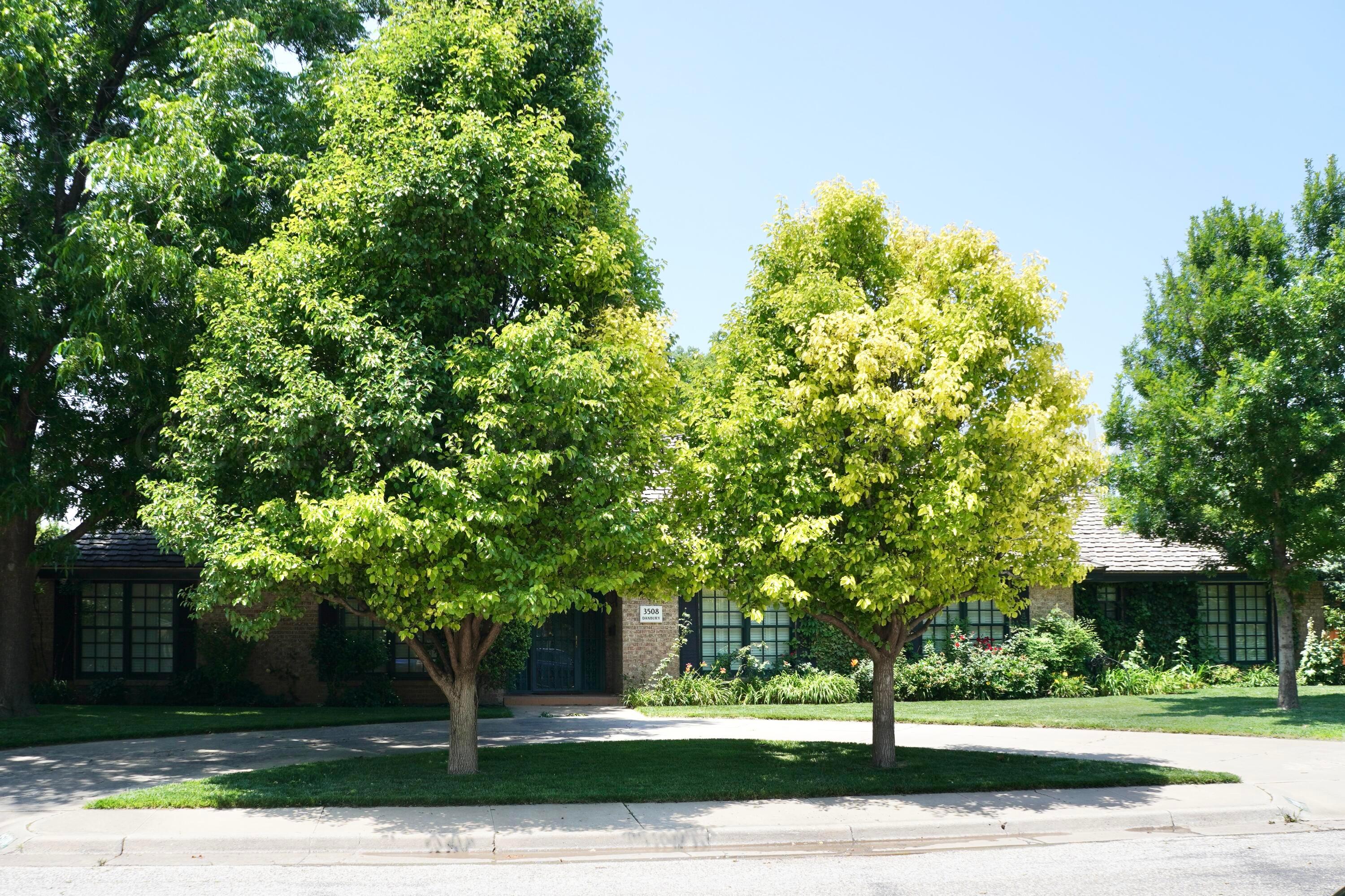 3508 Danbury Property Photo 66