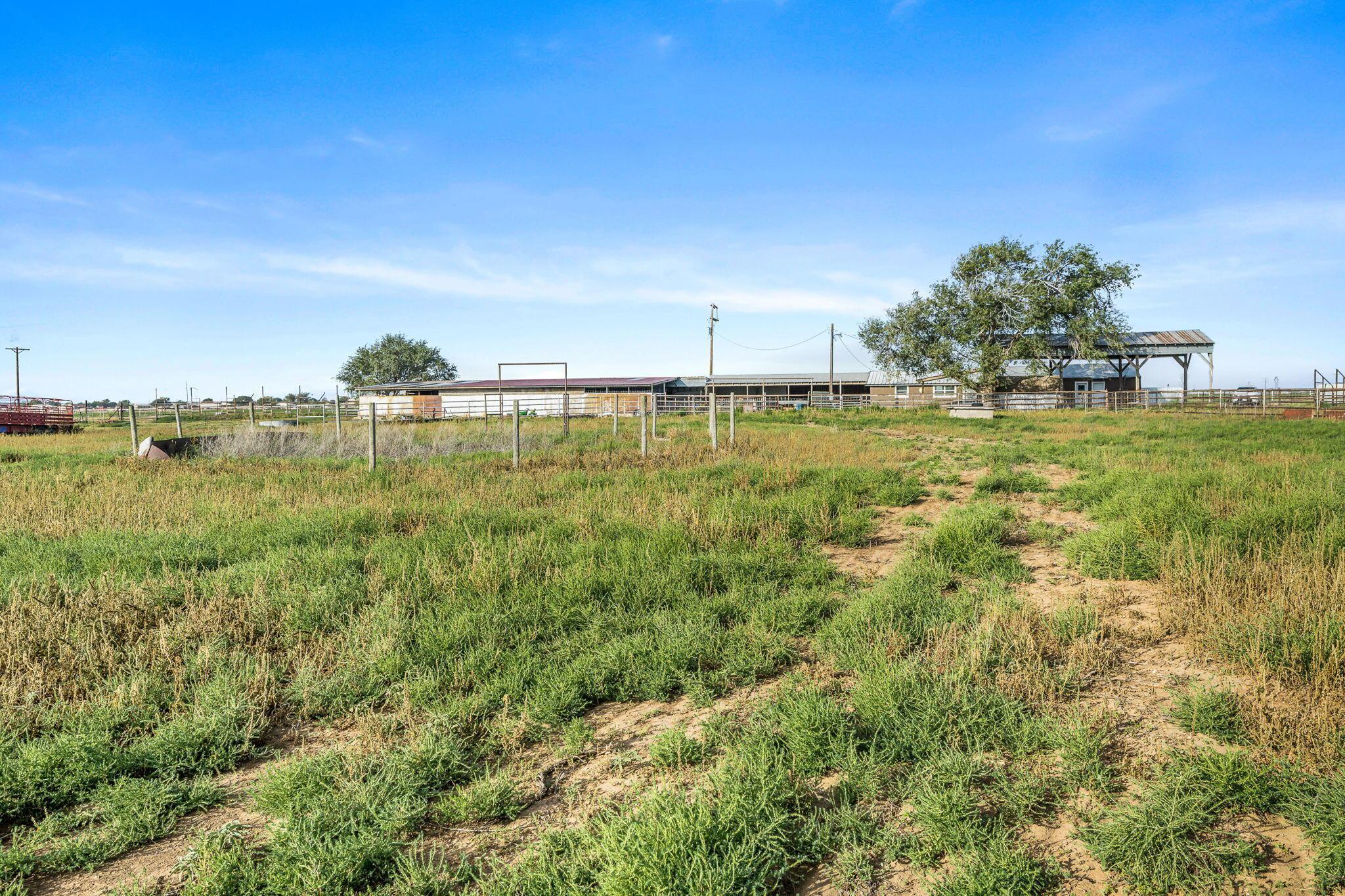 3220 Fm 2943 Property Photo 13