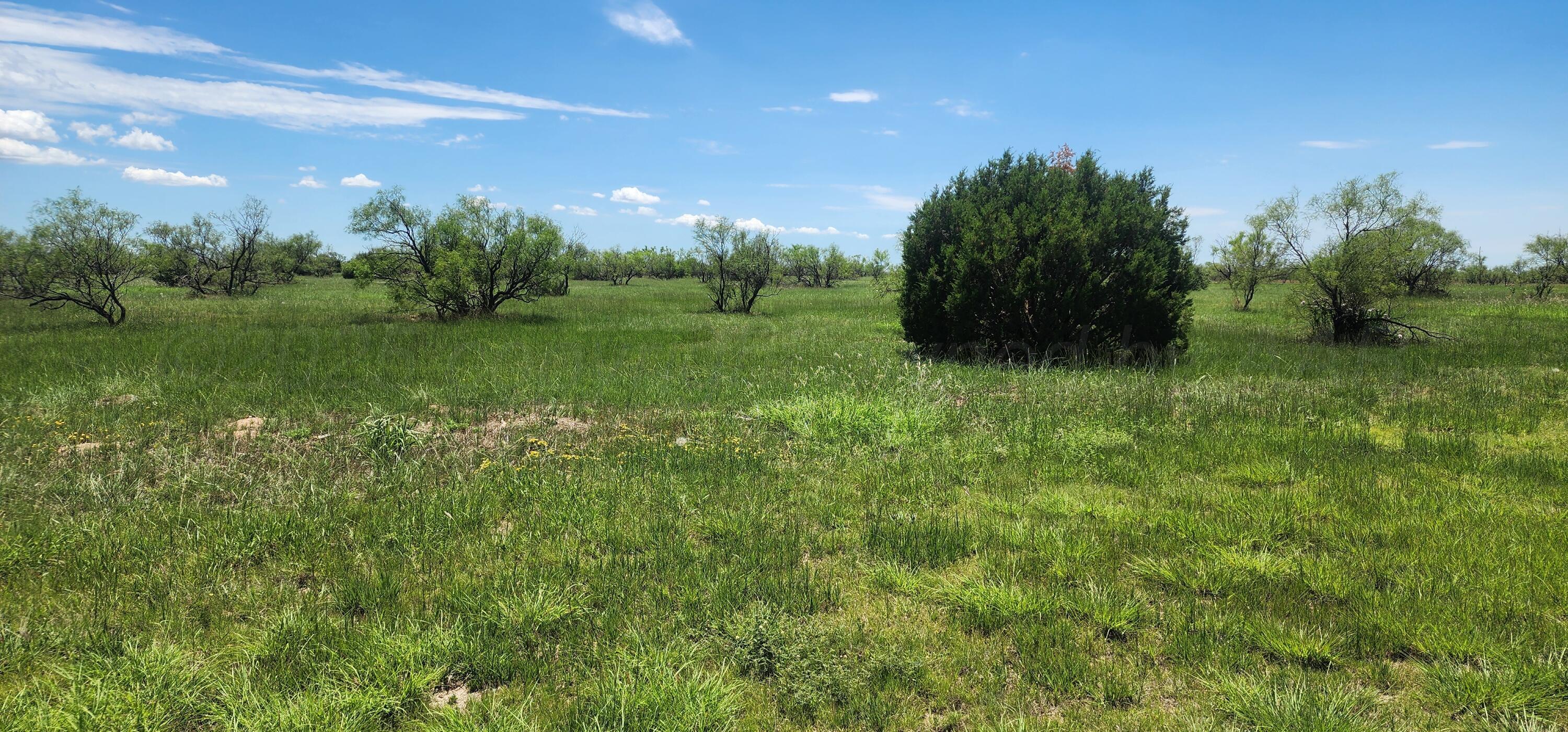 319 Prairie Point Property Photo 7