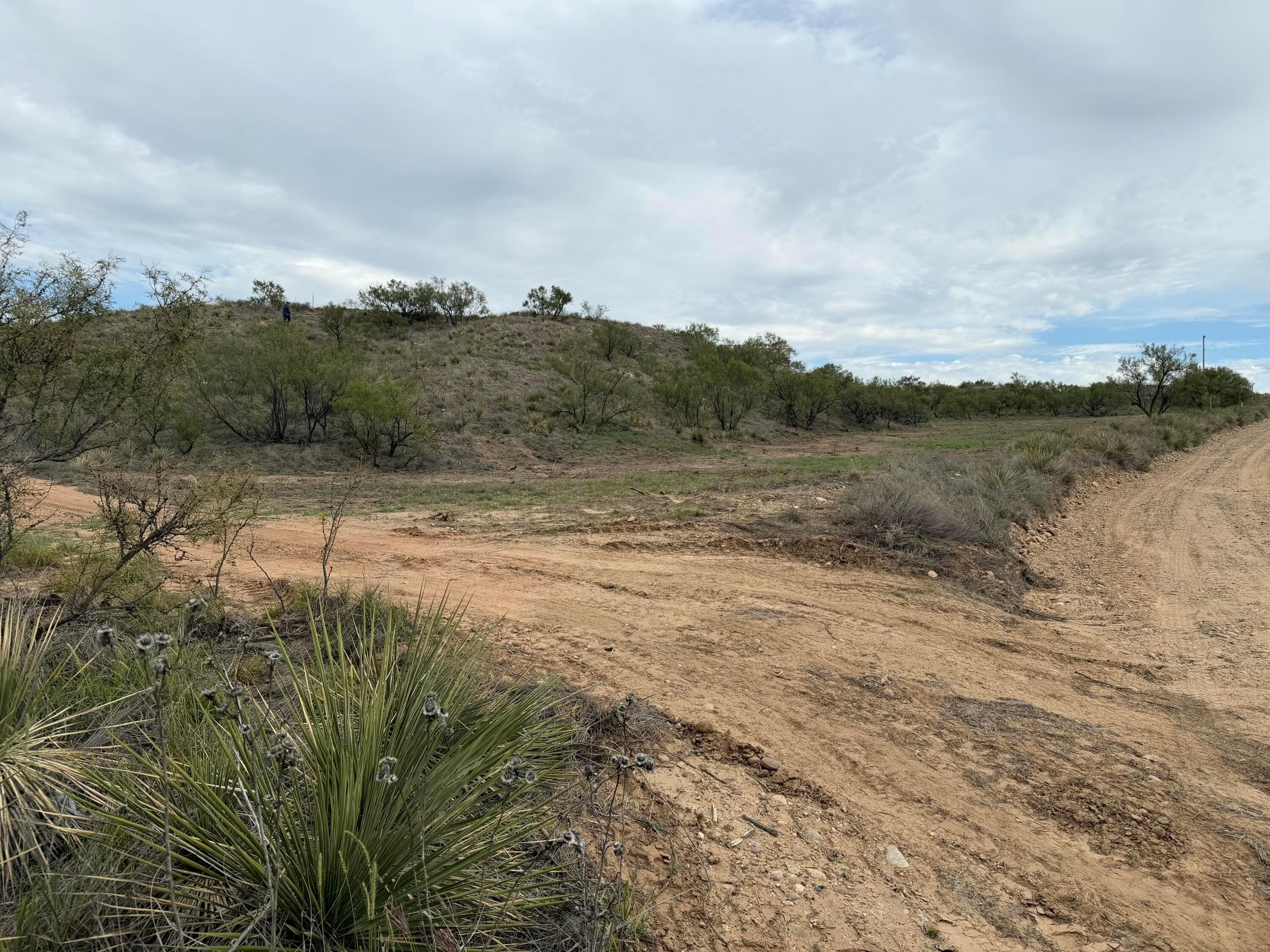 9831 Amarillo Road Property Photo 14