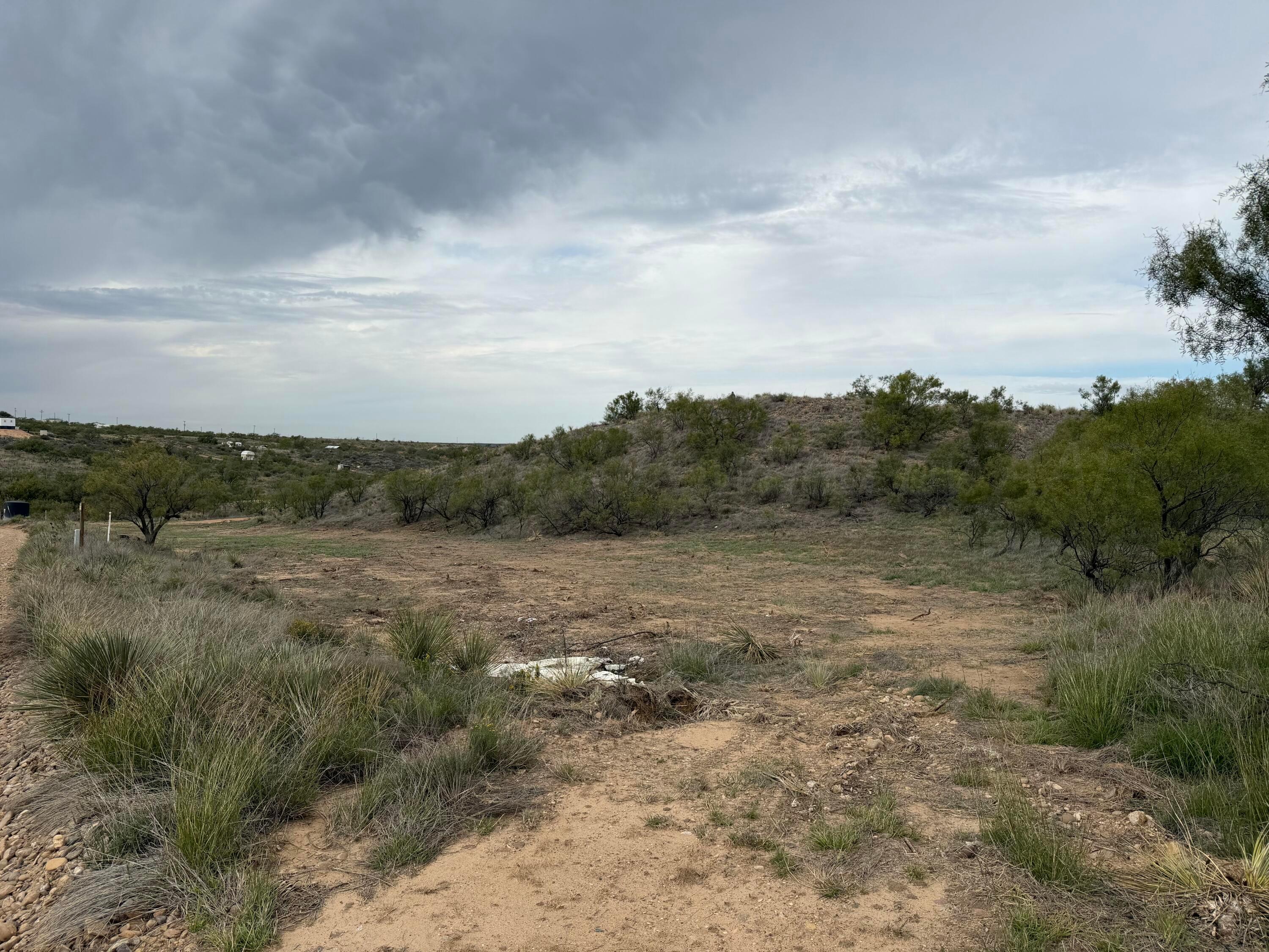 9831 Amarillo Road Property Photo 15