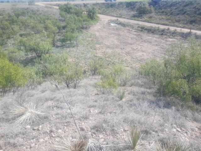 9831 Amarillo Road Property Photo 16