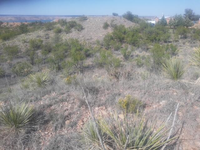 9831 Amarillo Road Property Photo 17