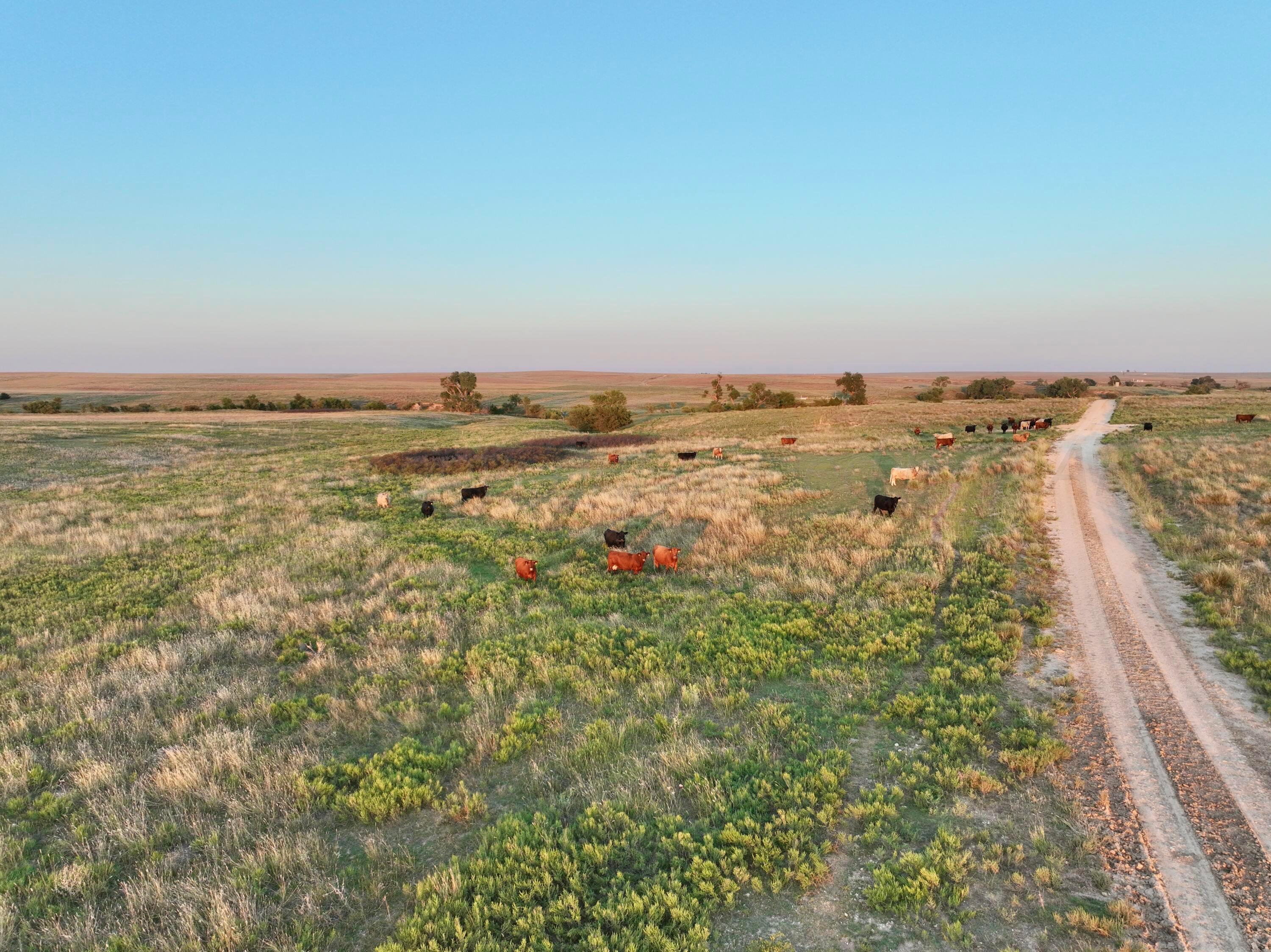 First Creek Ranch Property Photo 19