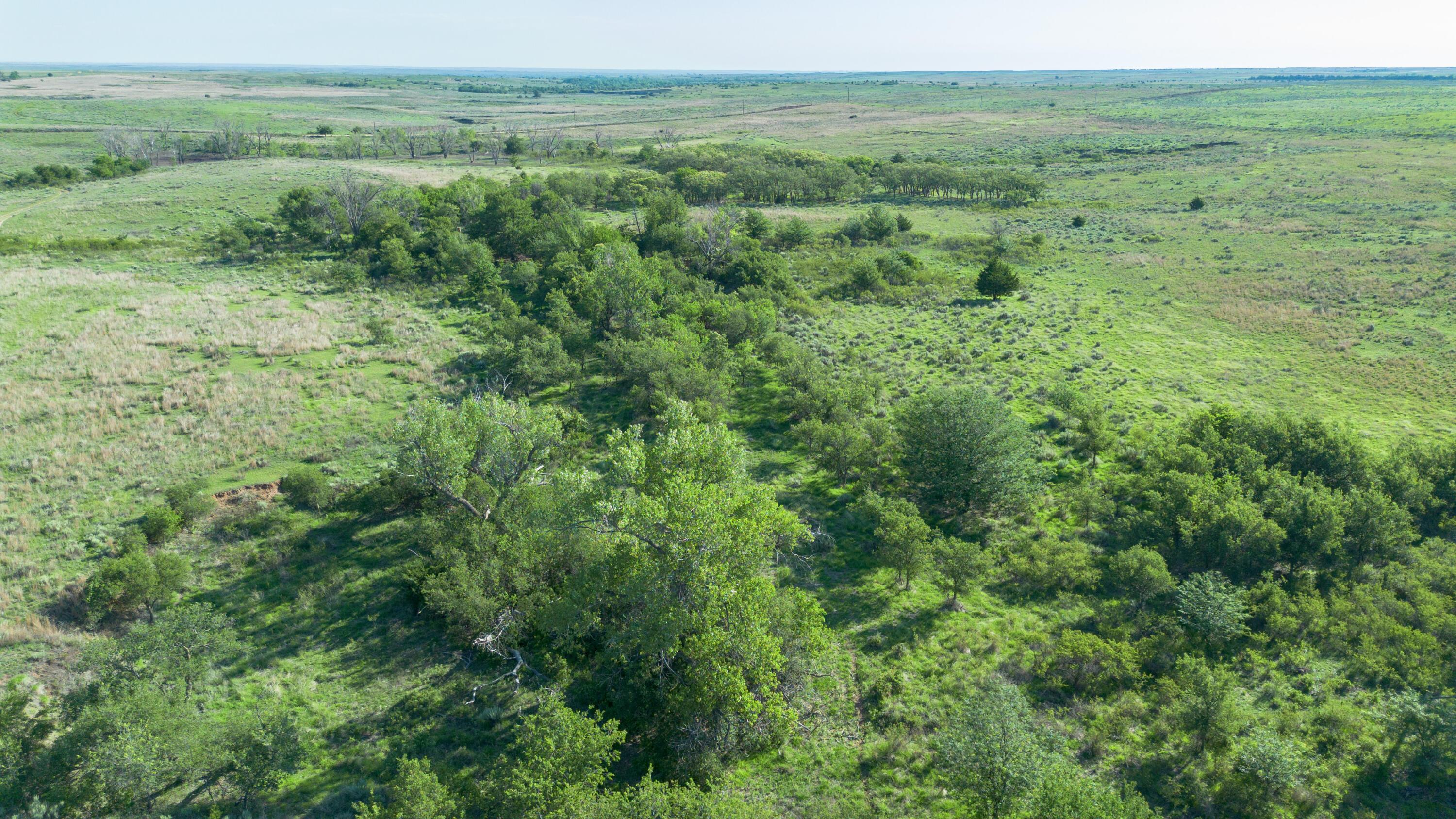 Peterson Creek ±640ac Property Photo 2