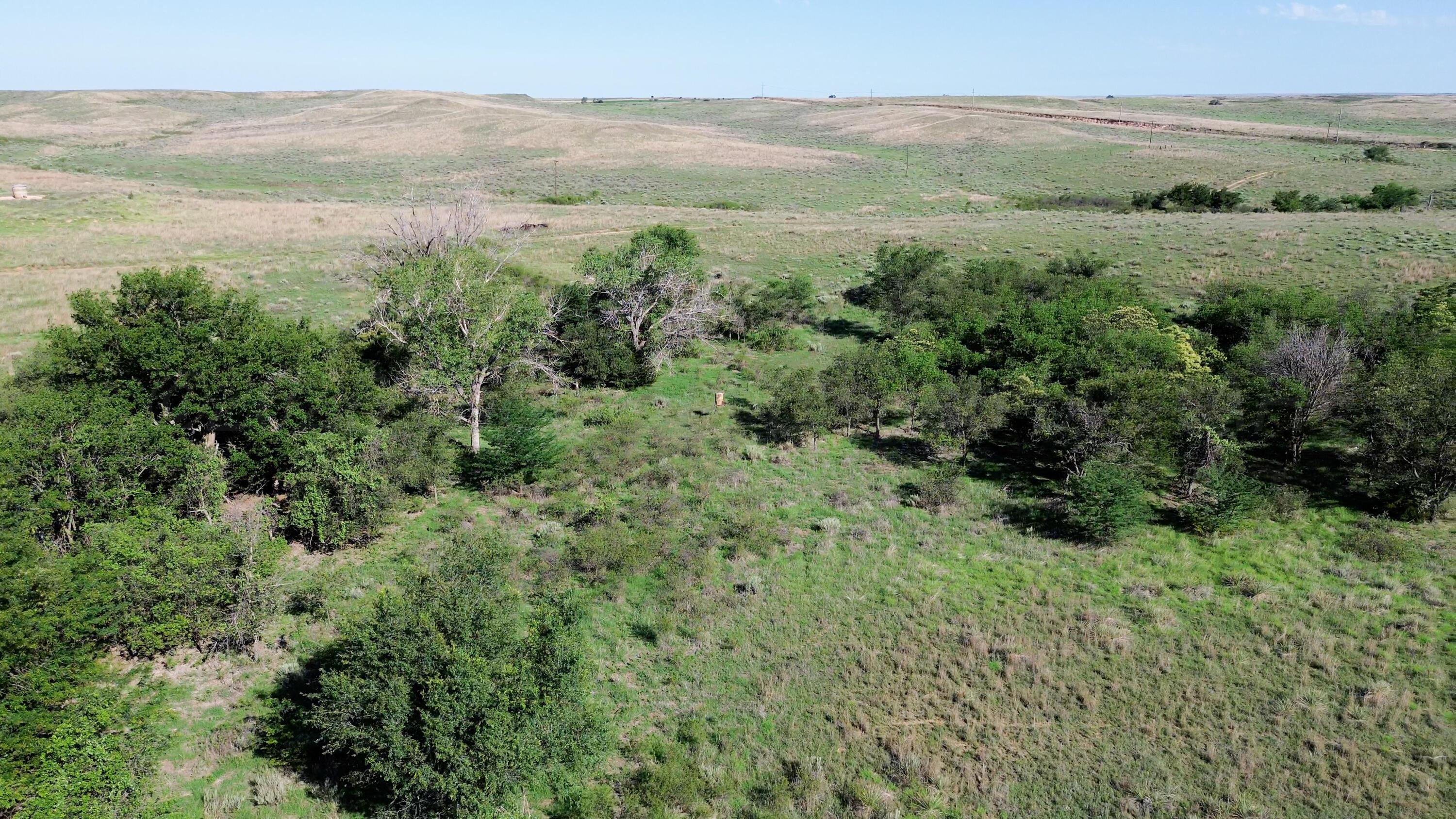 Peterson Creek ±640ac Property Photo 6