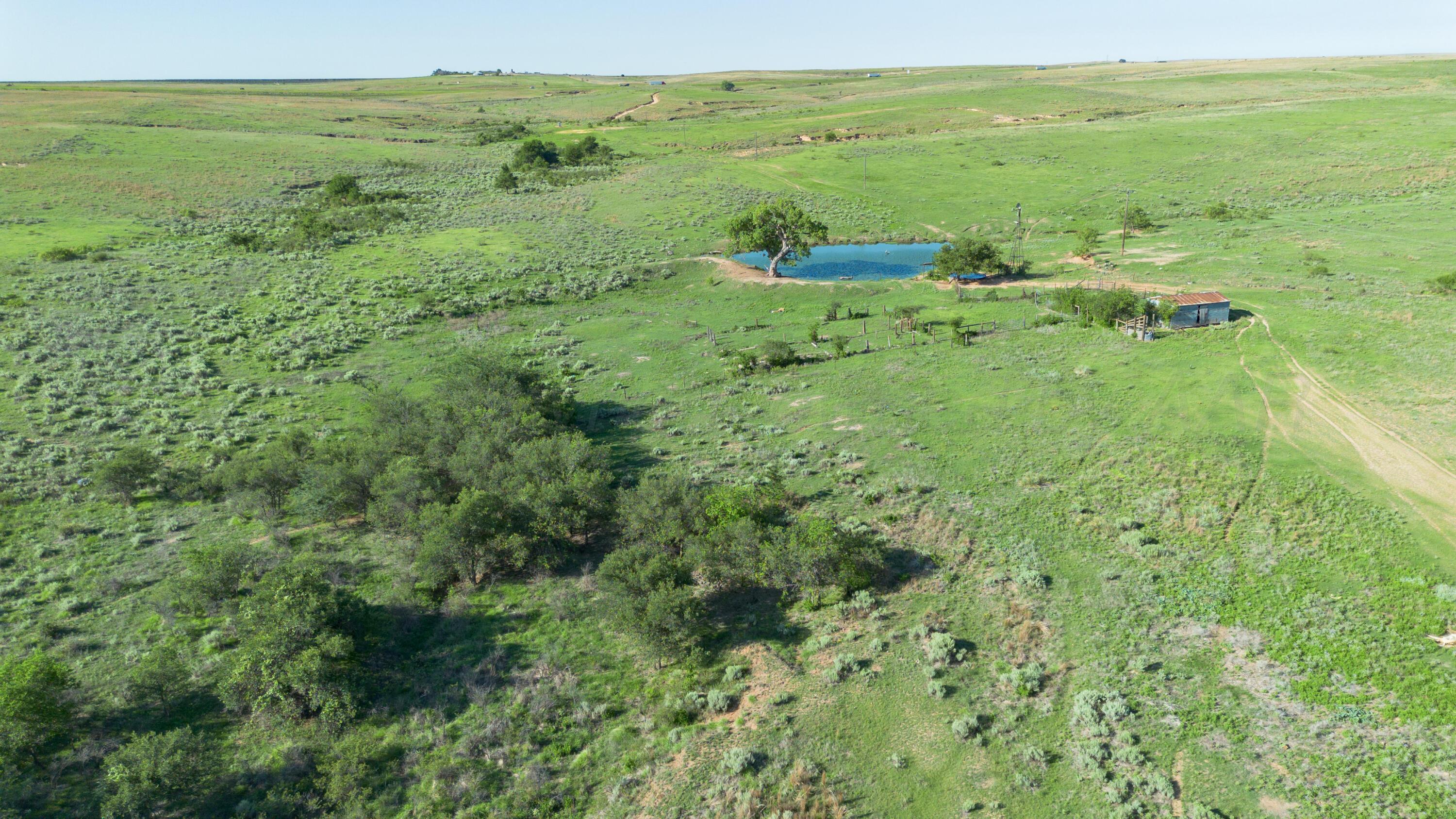 Peterson Creek ±640ac Property Photo 9